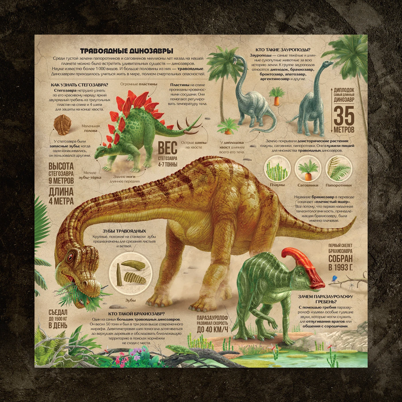 Книга для детей «По следам Динозавров». — Изображение №6 — Иллюстрация, Графика на Dprofile