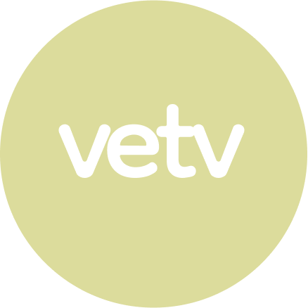 Аватар пользователя vetv.studio