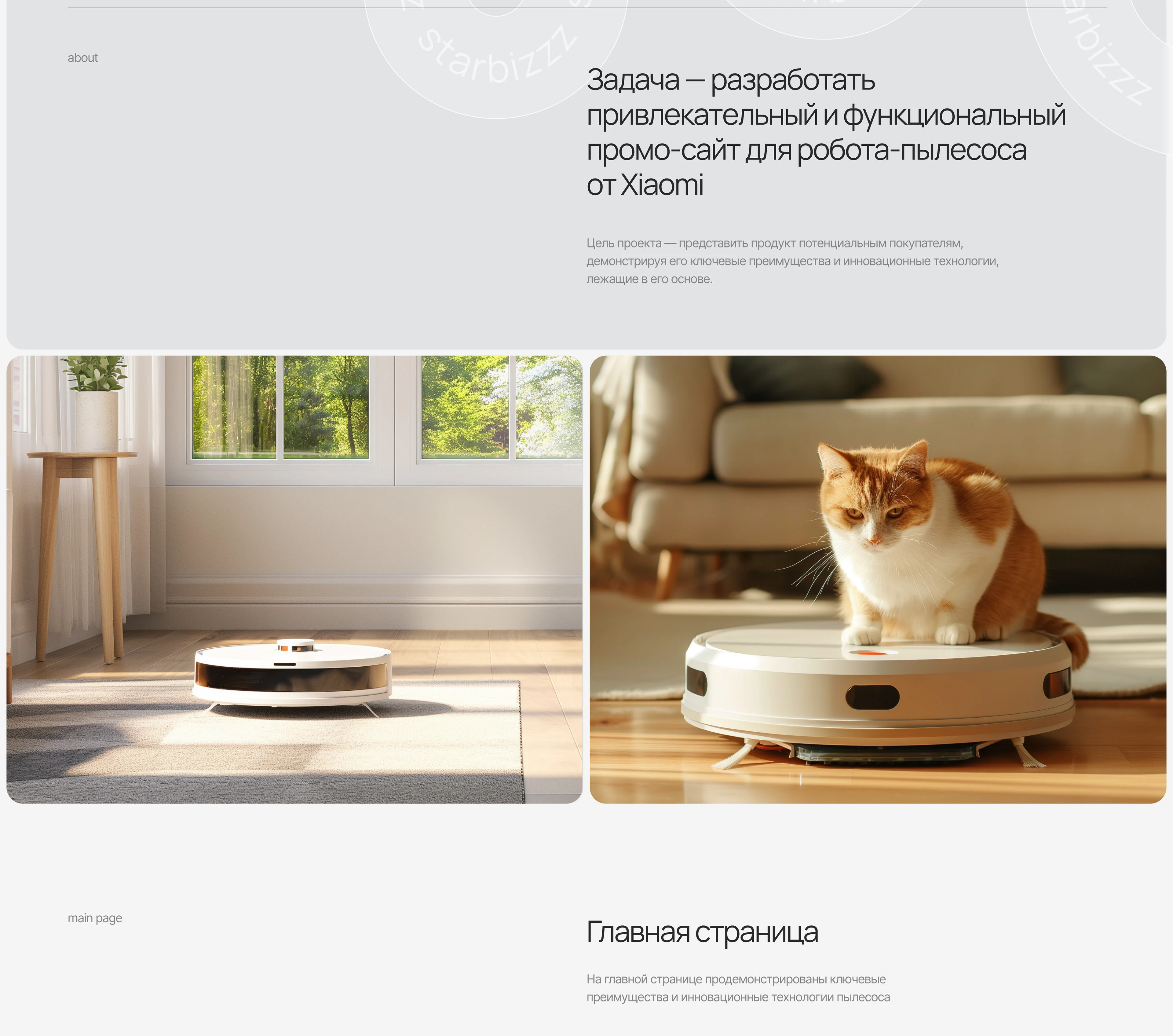 Xiaomi Mi Robot | Promo site, design-concept — Изображение №2 — Интерфейсы, Анимация на Dprofile