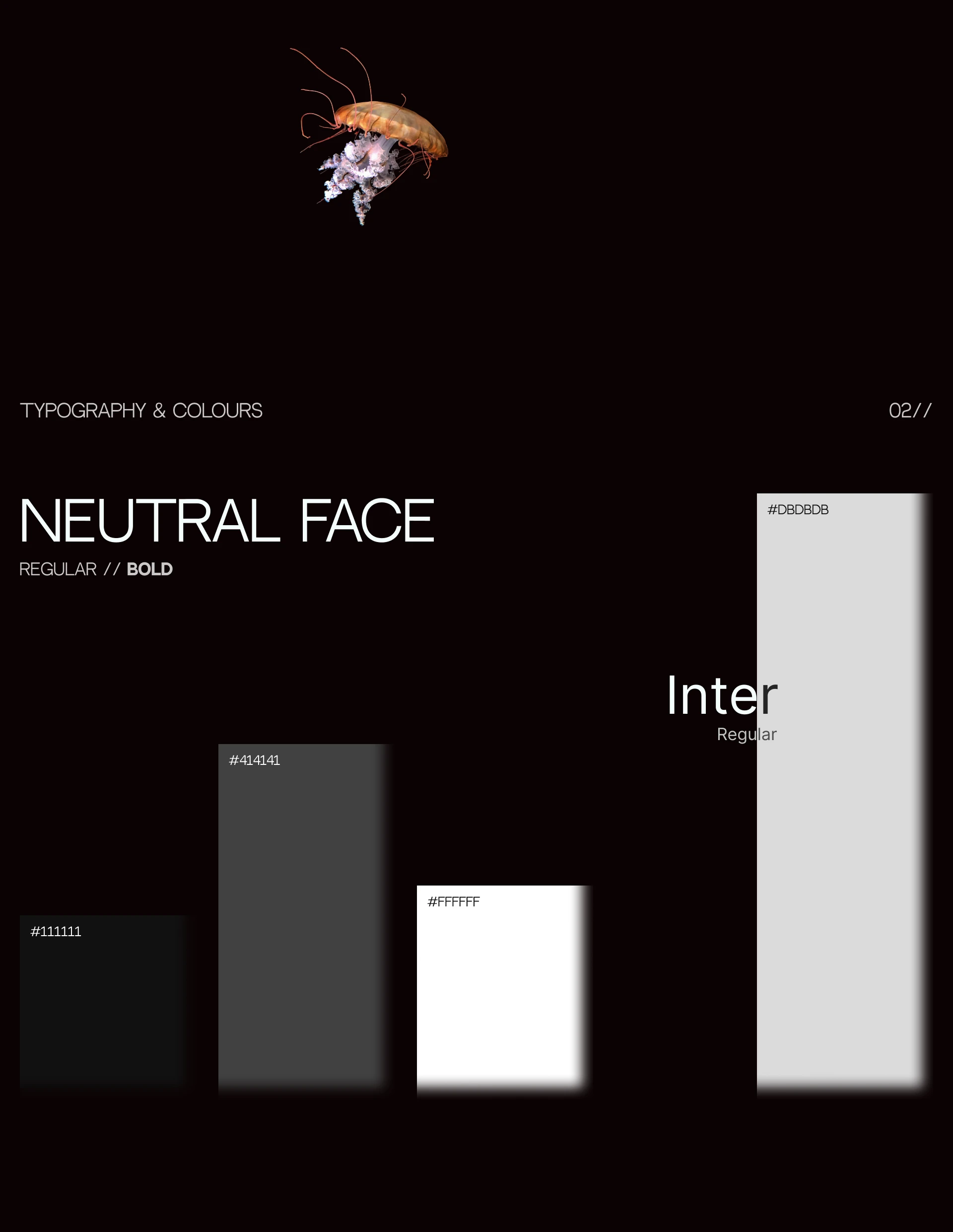 MOLA MOLA e-commerce | UX/UI design — Изображение №4 — Интерфейсы на Dprofile