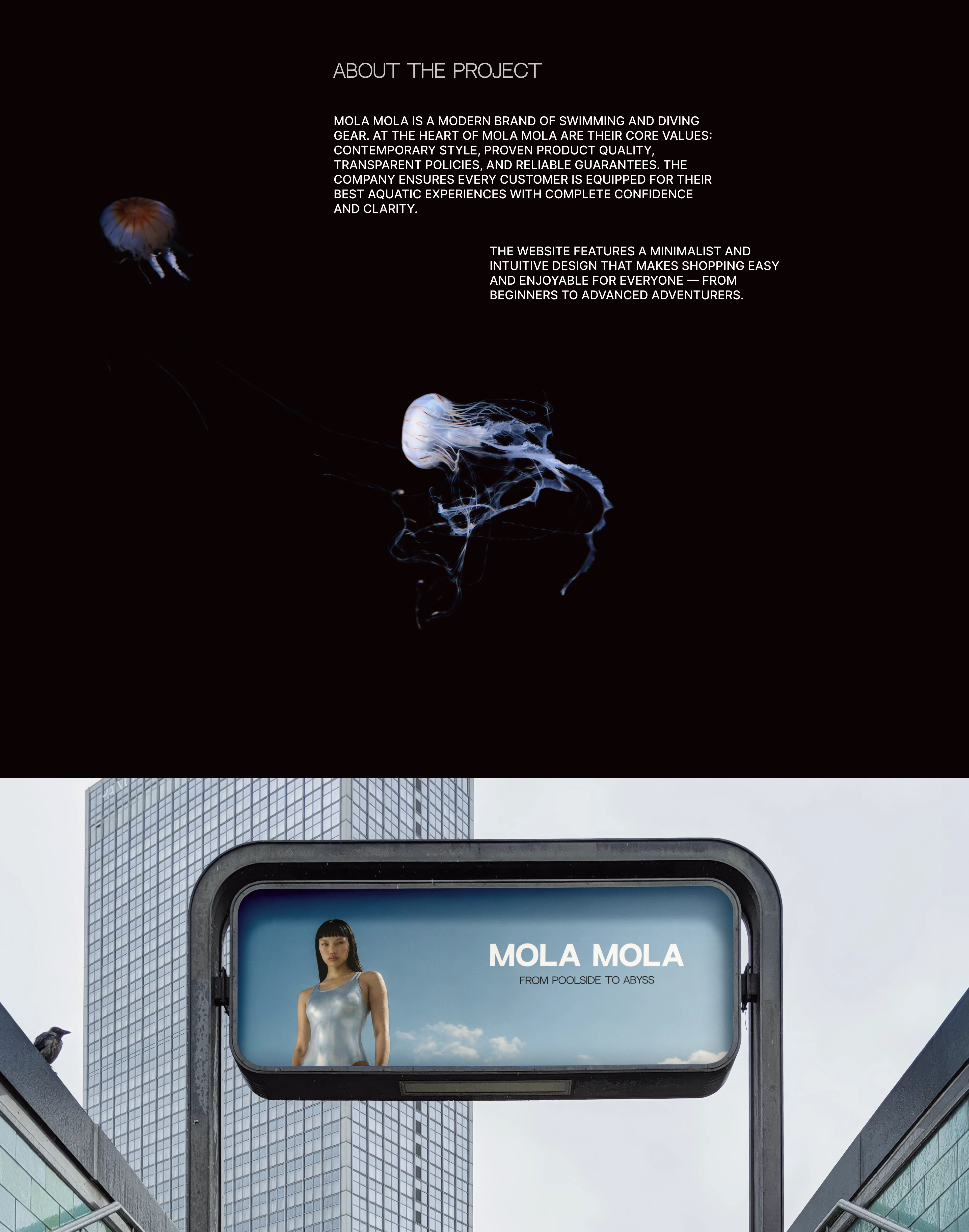 MOLA MOLA e-commerce | UX/UI design — Изображение №2 — Интерфейсы на Dprofile