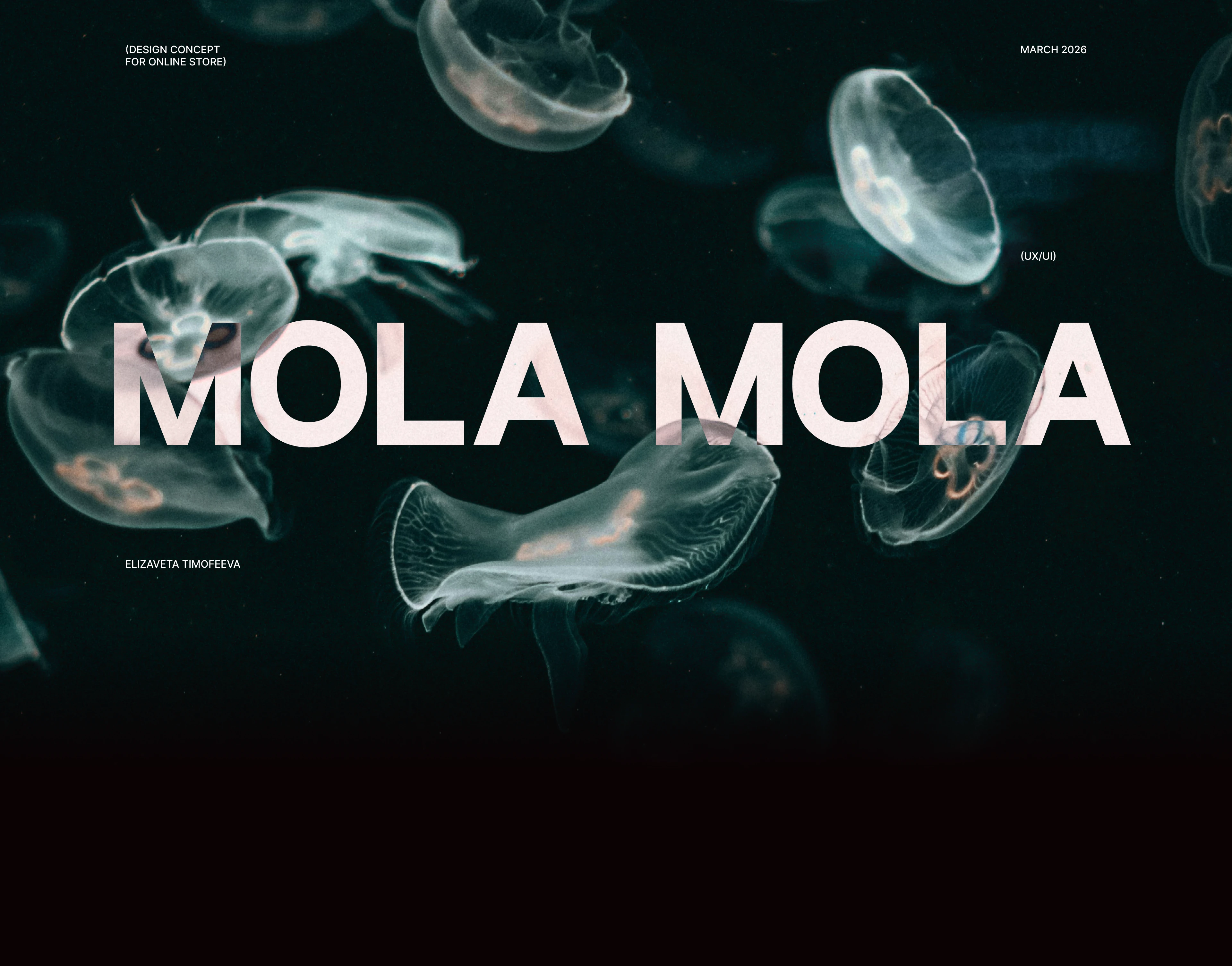 MOLA MOLA e-commerce | UX/UI design — Изображение №1 — Интерфейсы на Dprofile