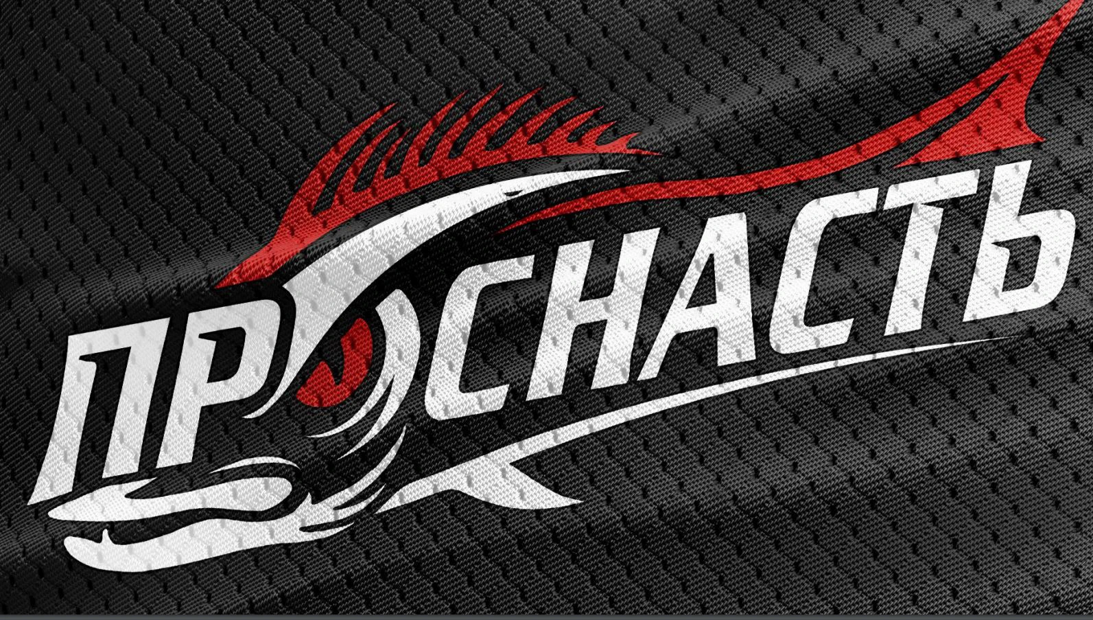 ПРОСНАСТЬ — Изображение №5 — Брендинг на Dprofile