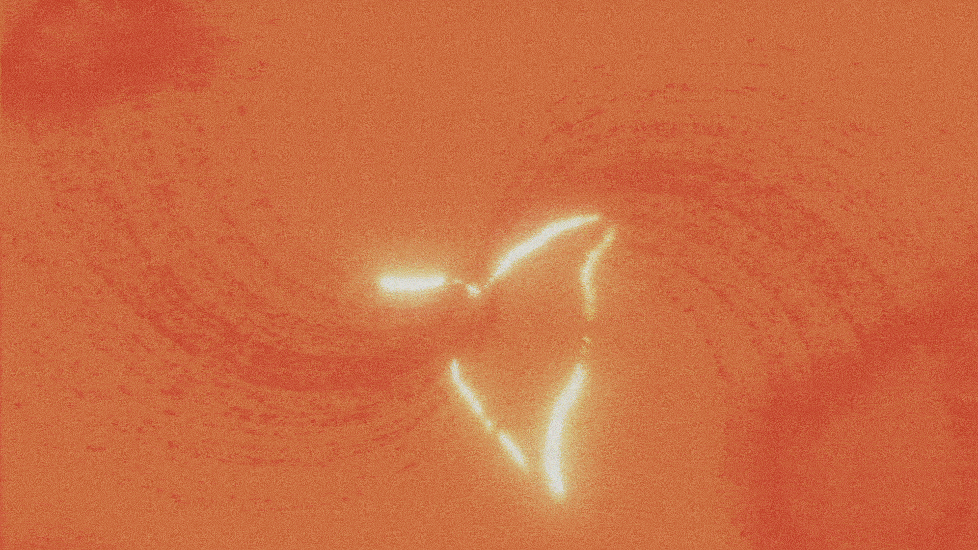 Что будет дальше? Видео-эксплейнер о смерти — Изображение №3 — Анимация на Dprofile