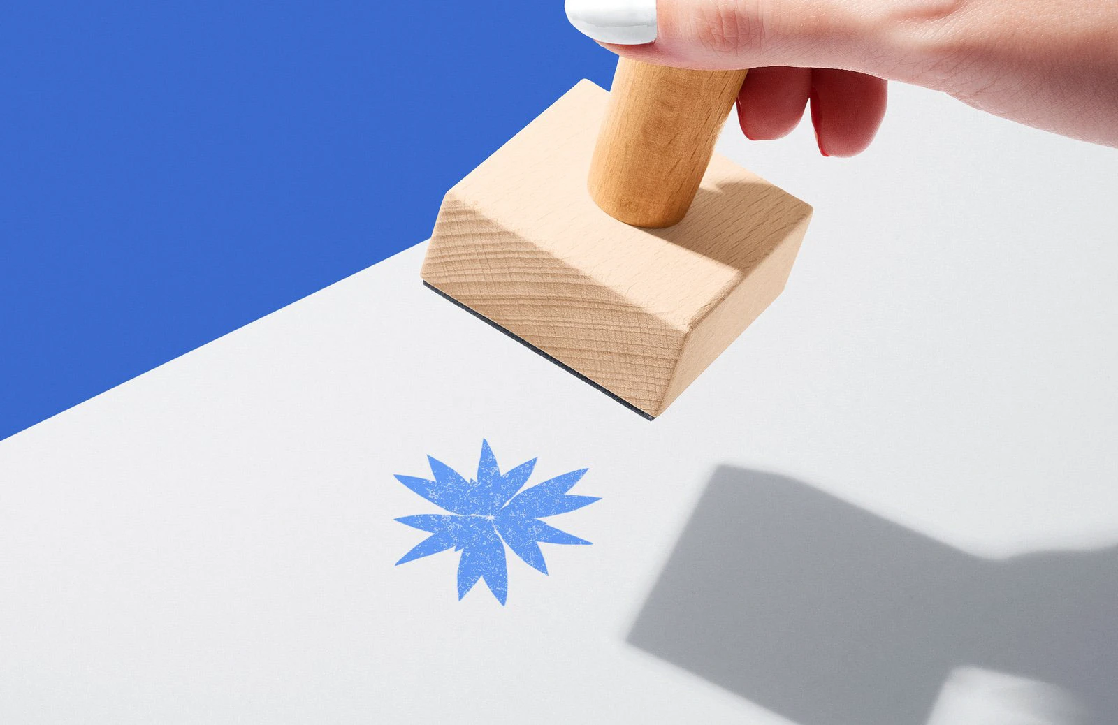 Городской сад ВАСИЛЁК — Изображение №6 — Брендинг, Анимация на Dprofile