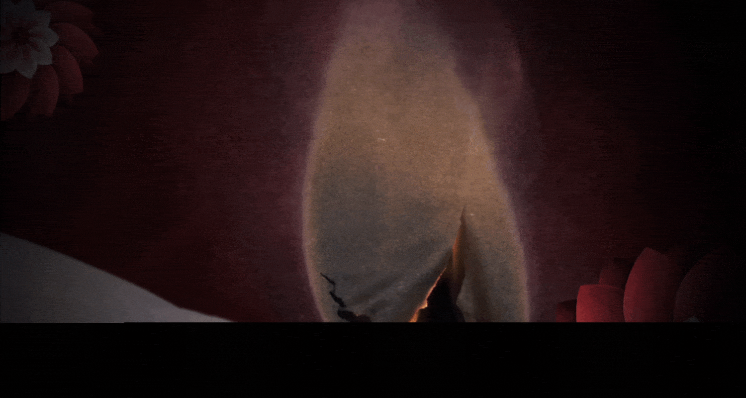 Прощай, моя наложница. Титры к фильму — Изображение №1 — Брендинг, Анимация на Dprofile