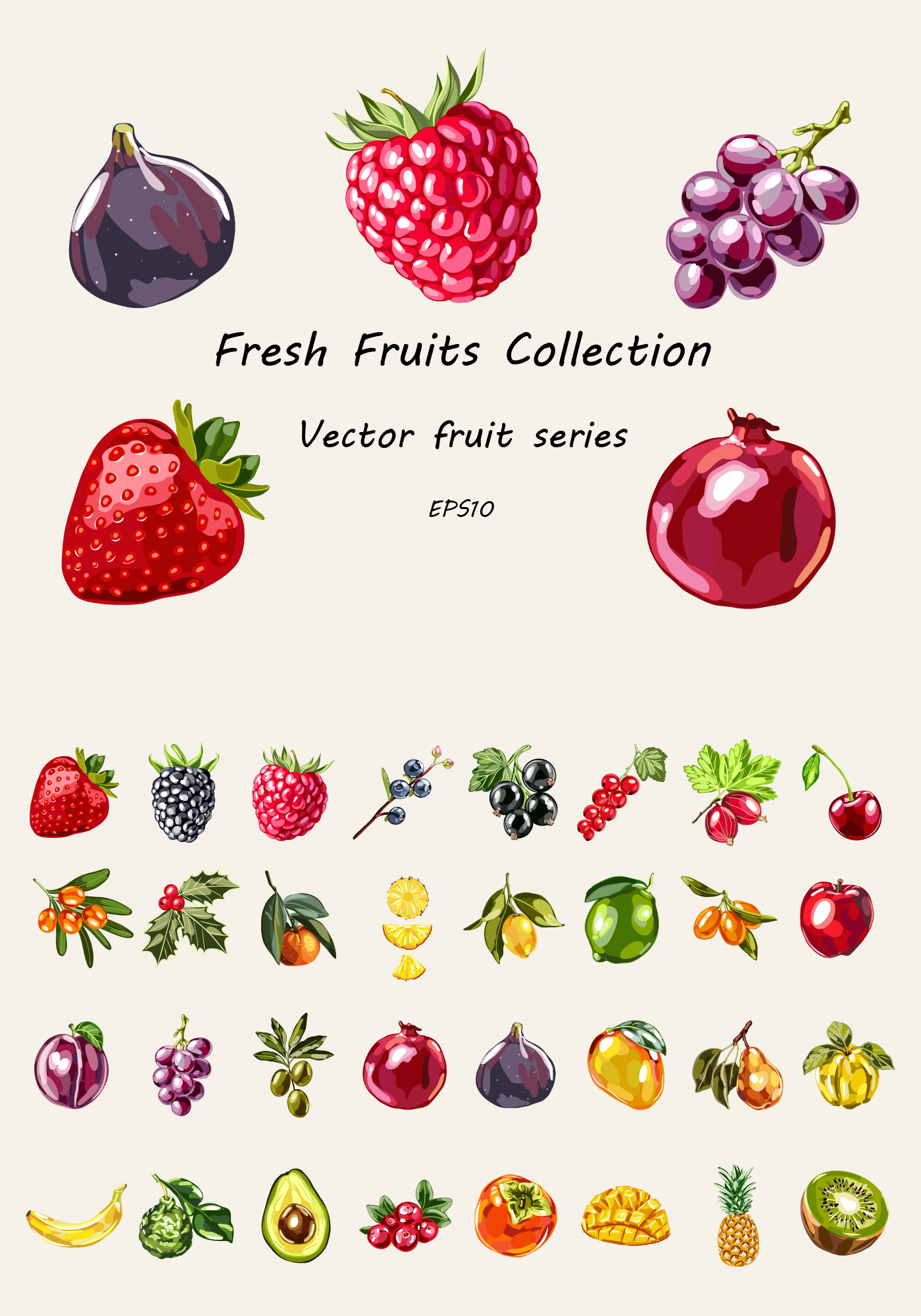 Fresh Fruits: коллекция сочных векторных фруктов и ягод — Изображение №1 — Иллюстрация, Промдизайн на Dprofile
