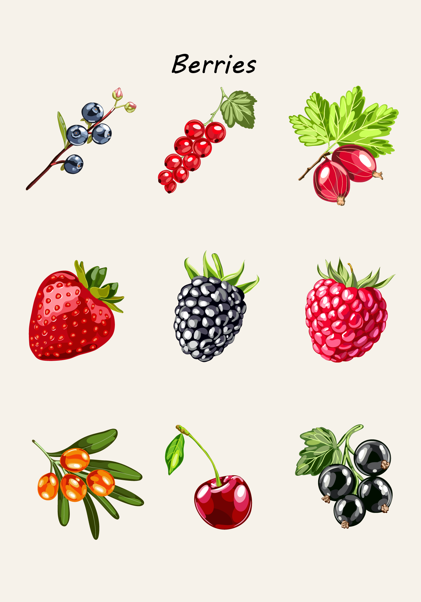 Fresh Fruits: коллекция сочных векторных фруктов и ягод — Изображение №2 — Иллюстрация, Промдизайн на Dprofile