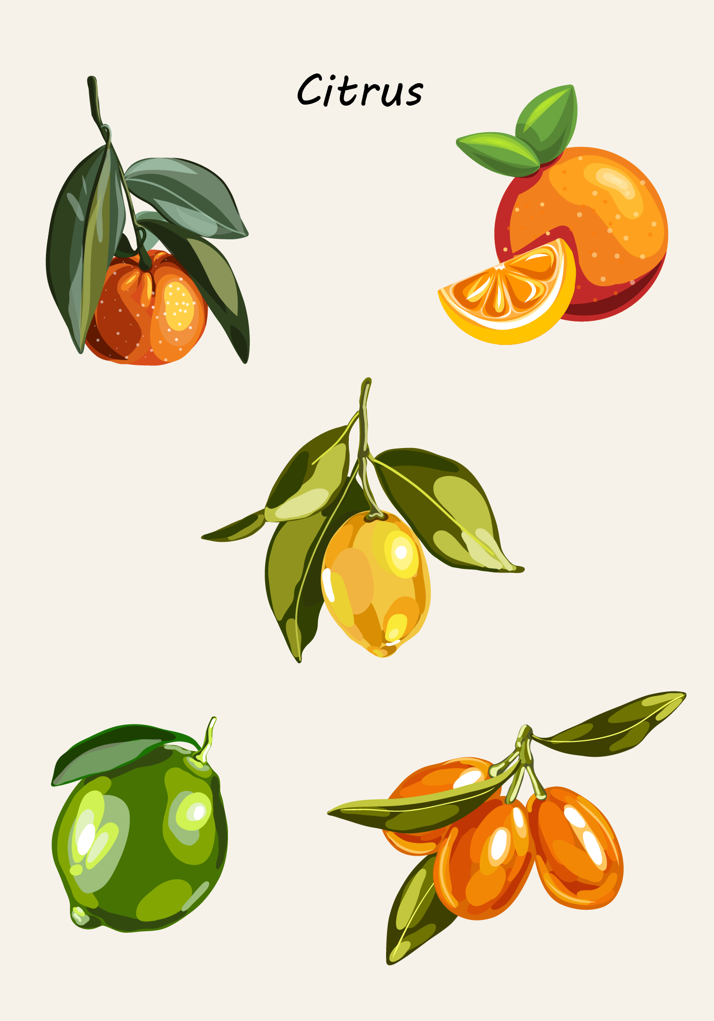 Fresh Fruits: коллекция сочных векторных фруктов и ягод — Изображение №3 — Иллюстрация, Промдизайн на Dprofile