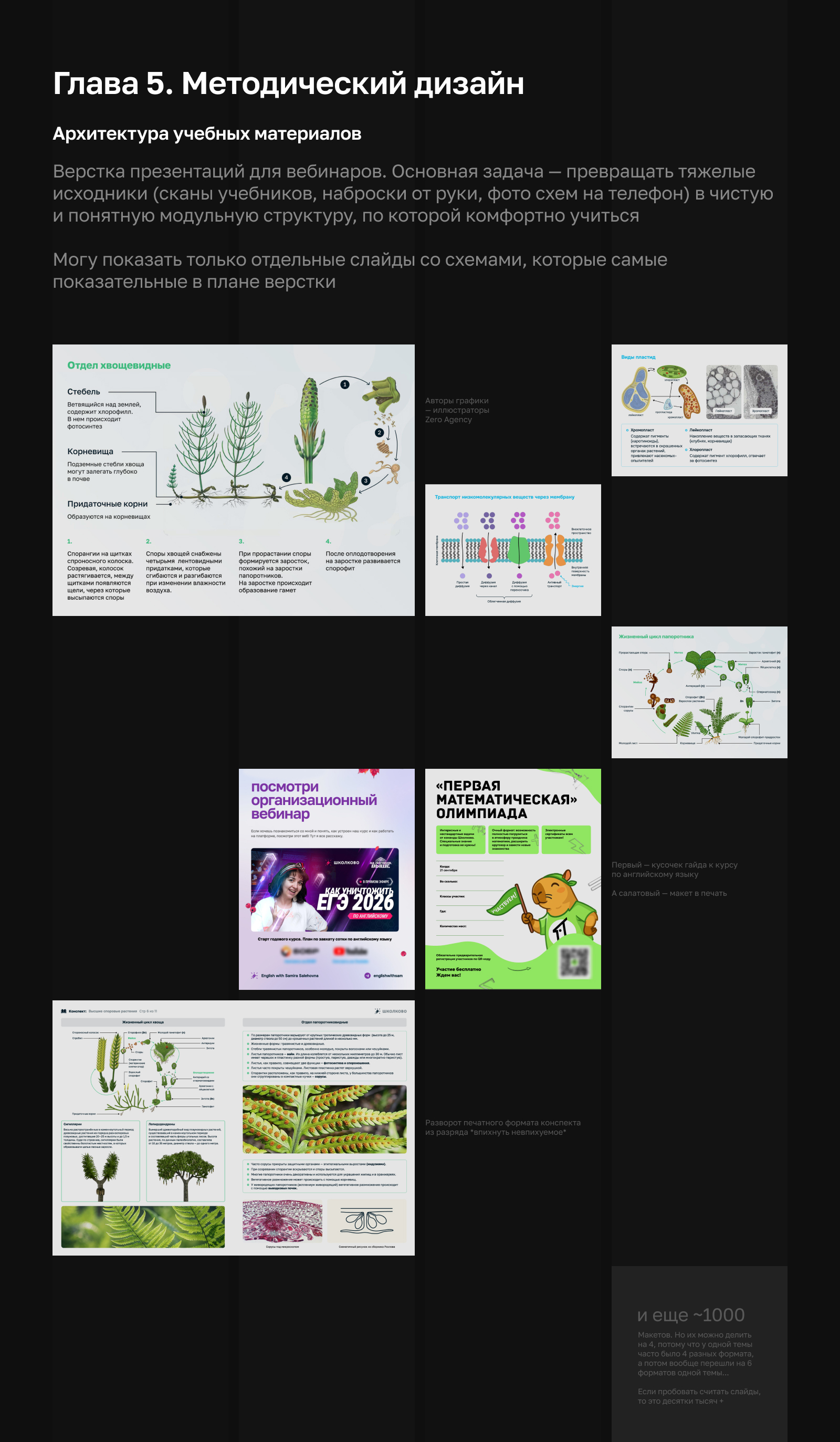 Полный цикл дизайна для EdTech | Школково — Изображение №6 — Брендинг, Графика на Dprofile