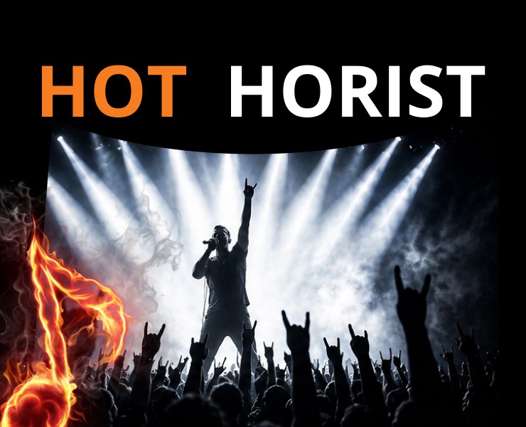HOT HORIST - ДИЗАЙН САЙТА — Интерфейсы, Архитектура на Dprofile