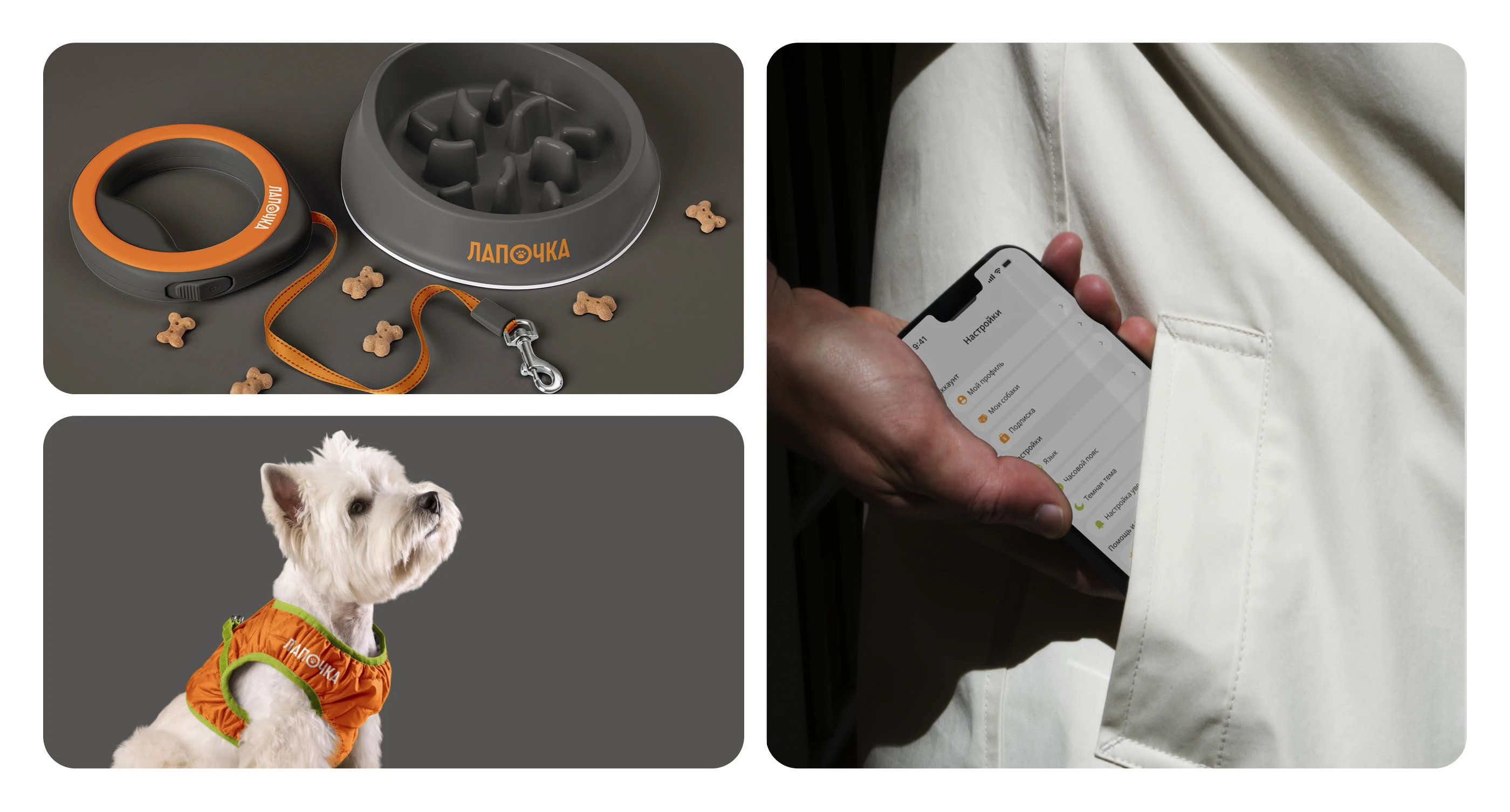 Лапочка - мобильное приложение — Изображение №11 — Интерфейсы на Dprofile