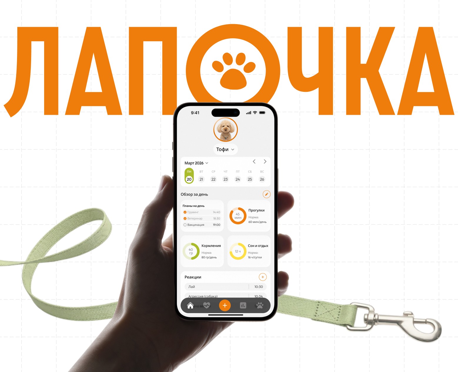 Лапочка - мобильное приложение — Интерфейсы на Dprofile