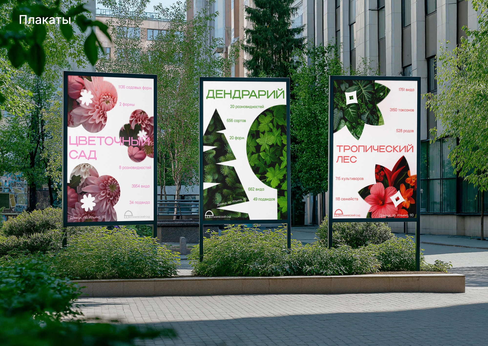 Айдентика для Донецкого ботанического сада — Изображение №5 — Брендинг на Dprofile