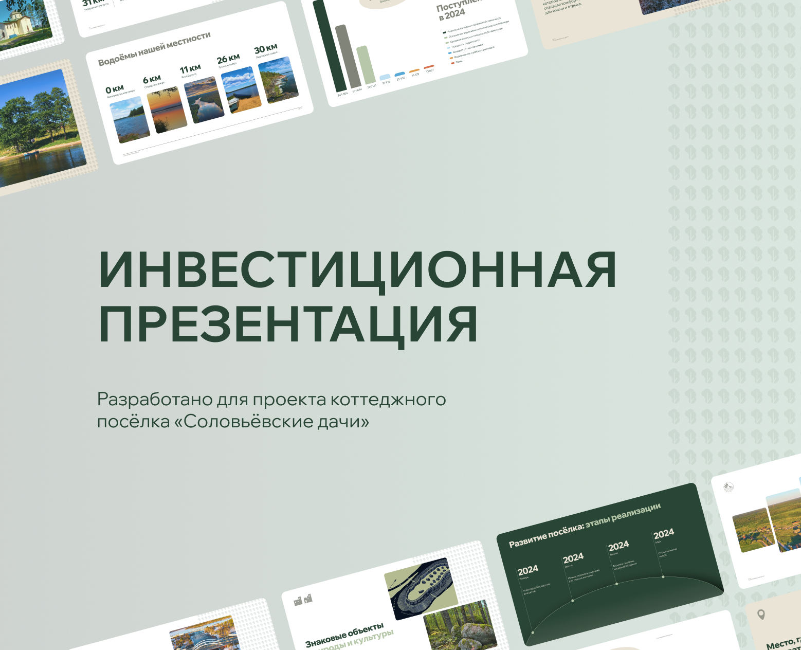 Дизайн инвестиционной презентации для коттеджного посёлка на Dprofile
