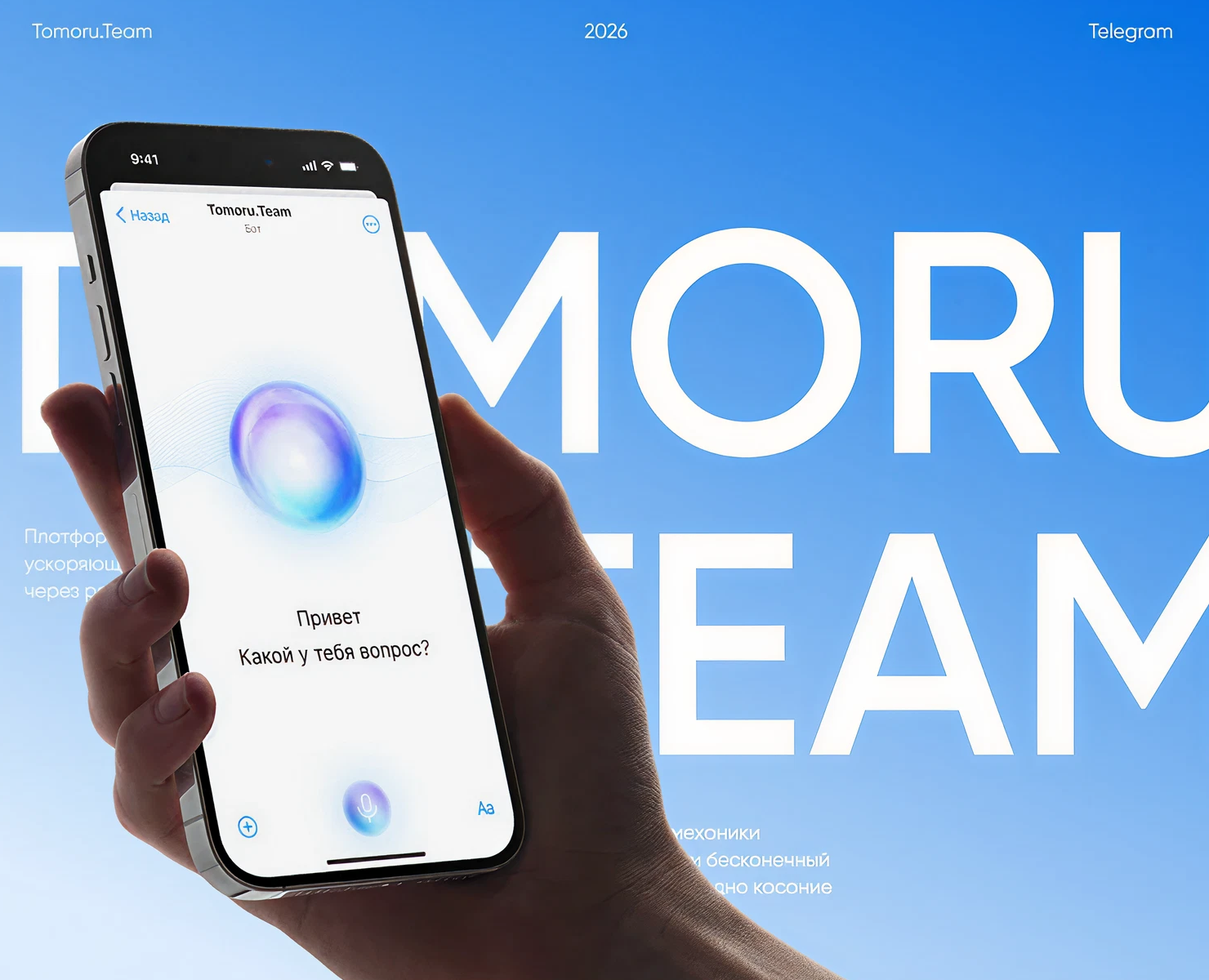 Tomoru.Team / Платформа для найма нового поколения — Интерфейсы на Dprofile