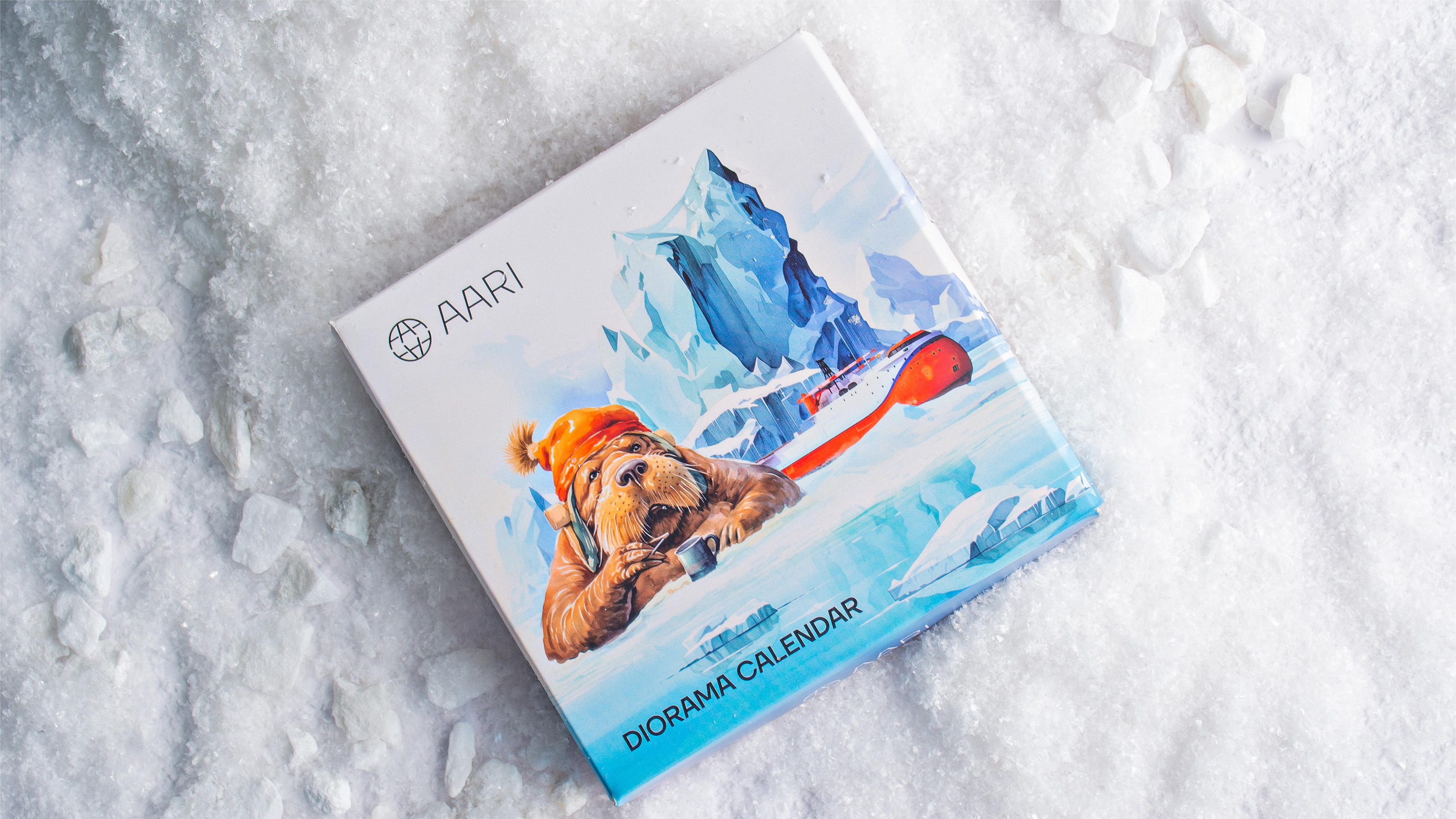 ААНИИ | Календарь-диорама — Изображение №1 — Брендинг, Графика на Dprofile