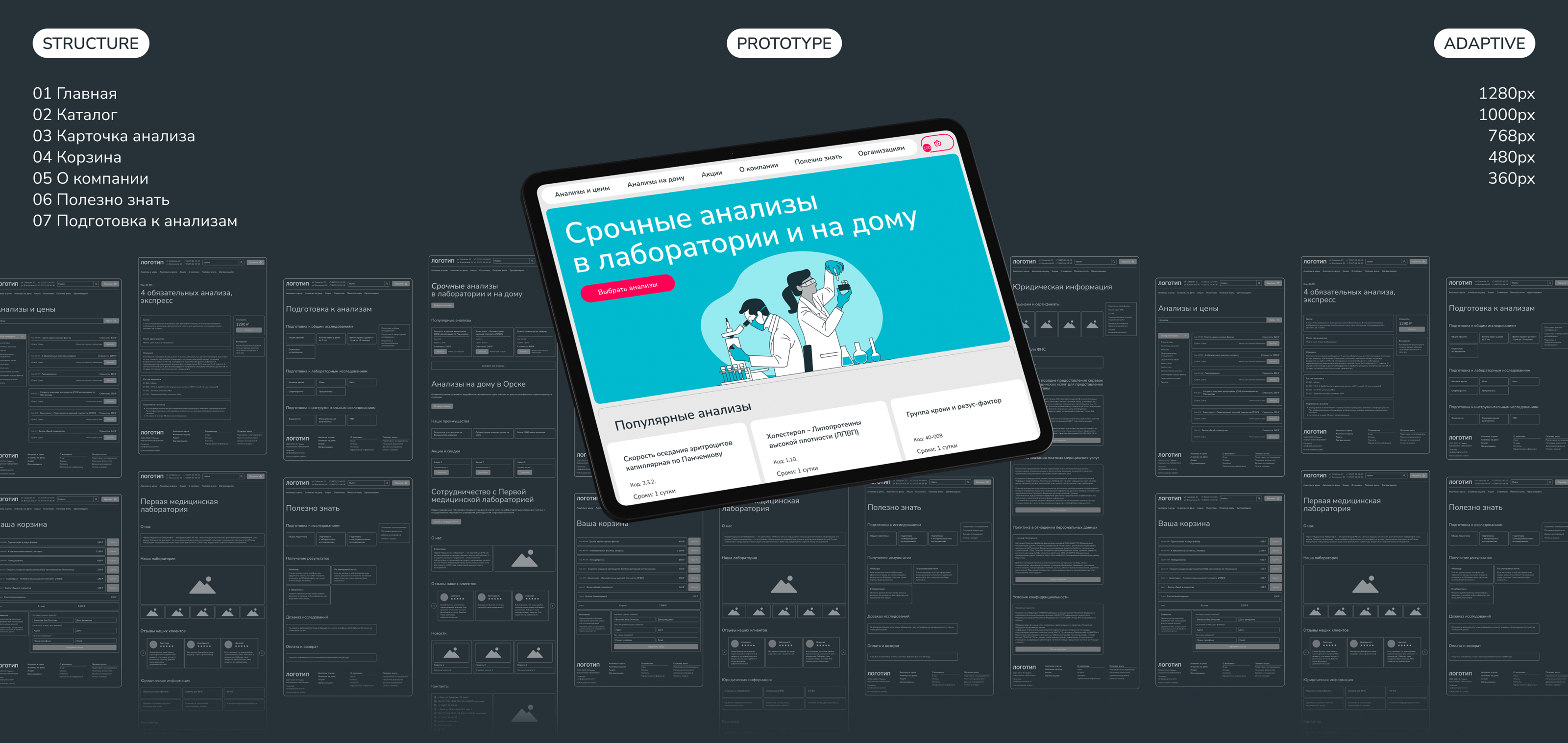 1-ая МедЛаборатория — Сайт & Каталог — Изображение №7 — Интерфейсы на Dprofile