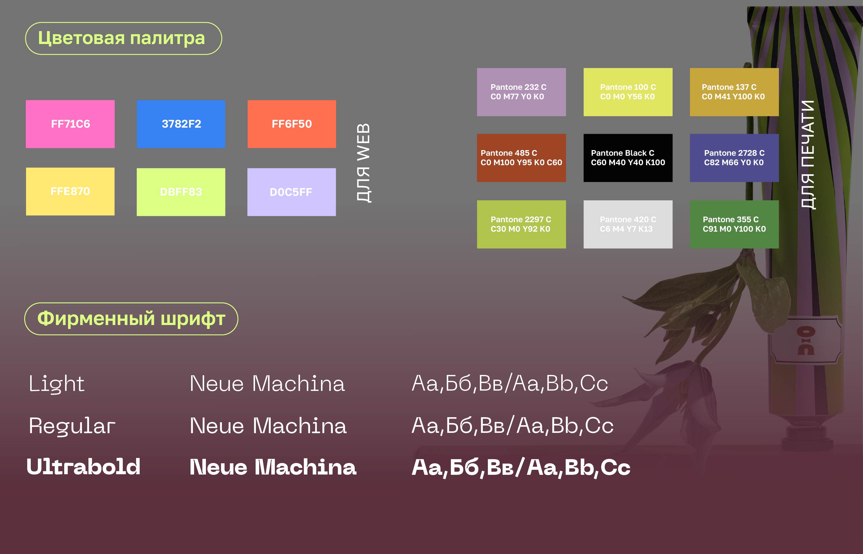 Cha U Kao для Skillbox — Изображение №3 — Брендинг, Графика на Dprofile