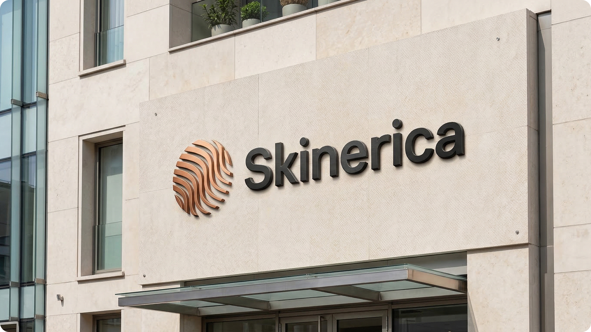 Skinerica — Изображение №1 — Брендинг, Графика на Dprofile