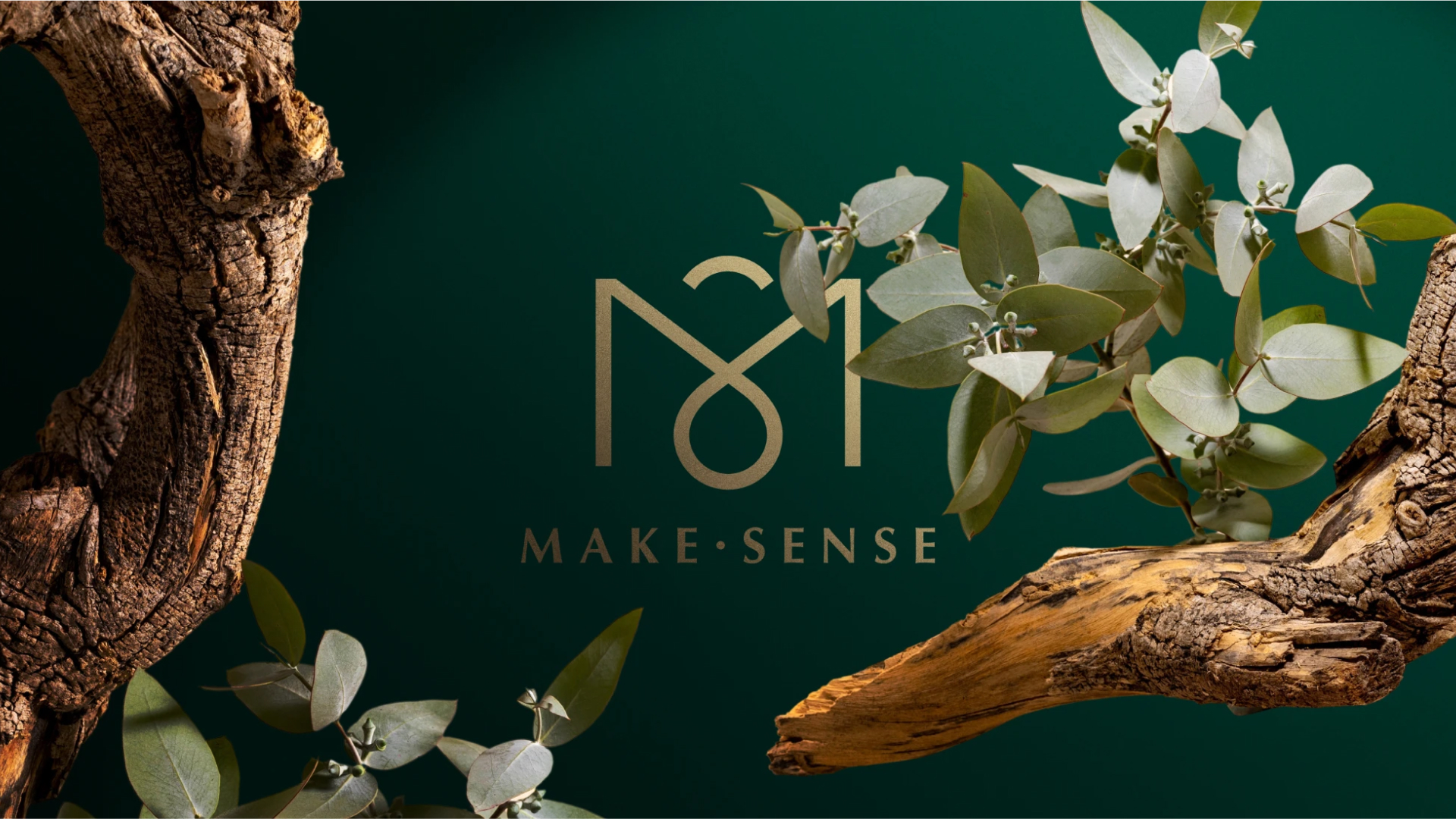 Make Sense — Изображение №1 — Брендинг, Графика на Dprofile