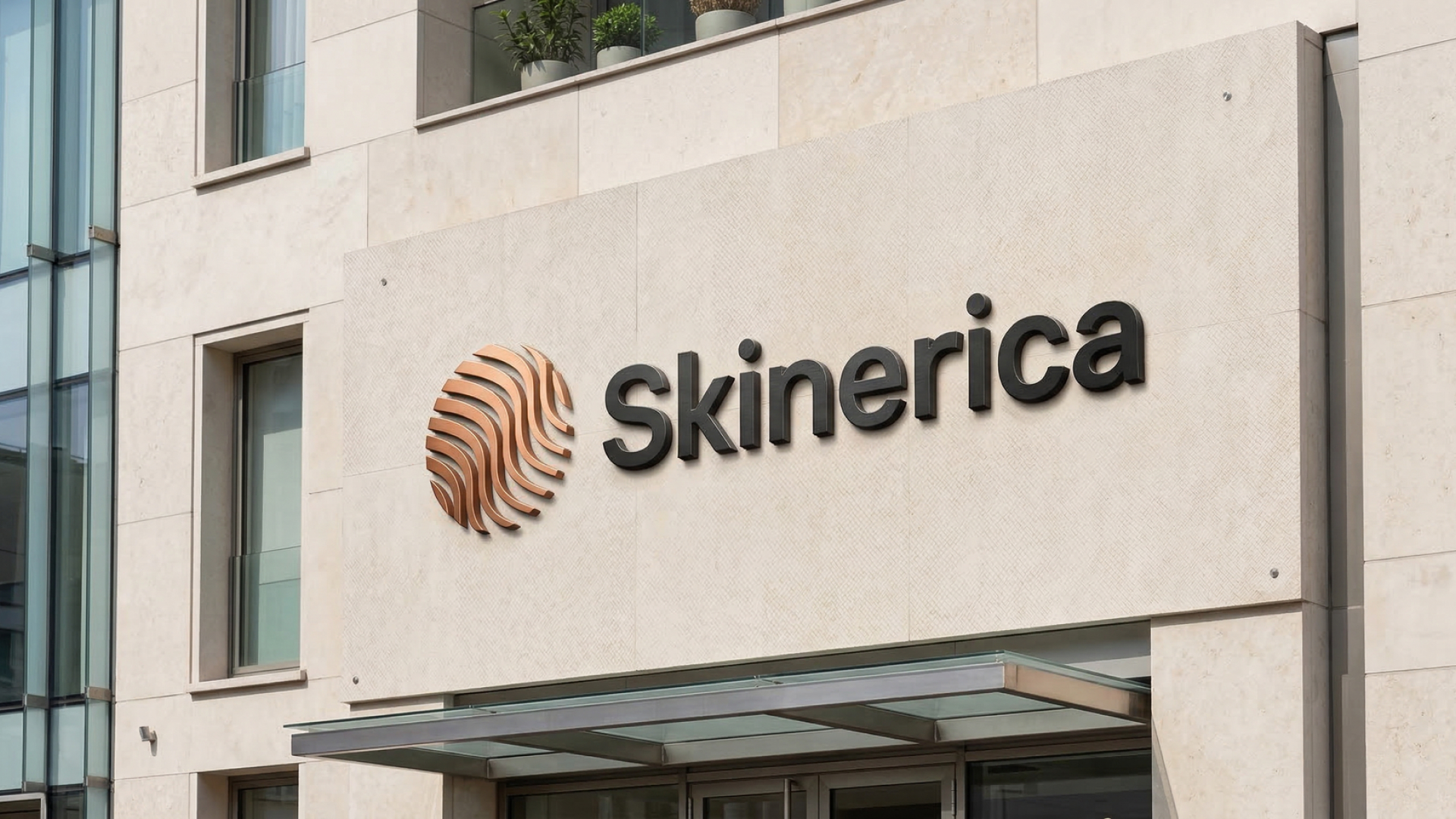 Skinerica — Изображение №1 — Брендинг, Графика на Dprofile