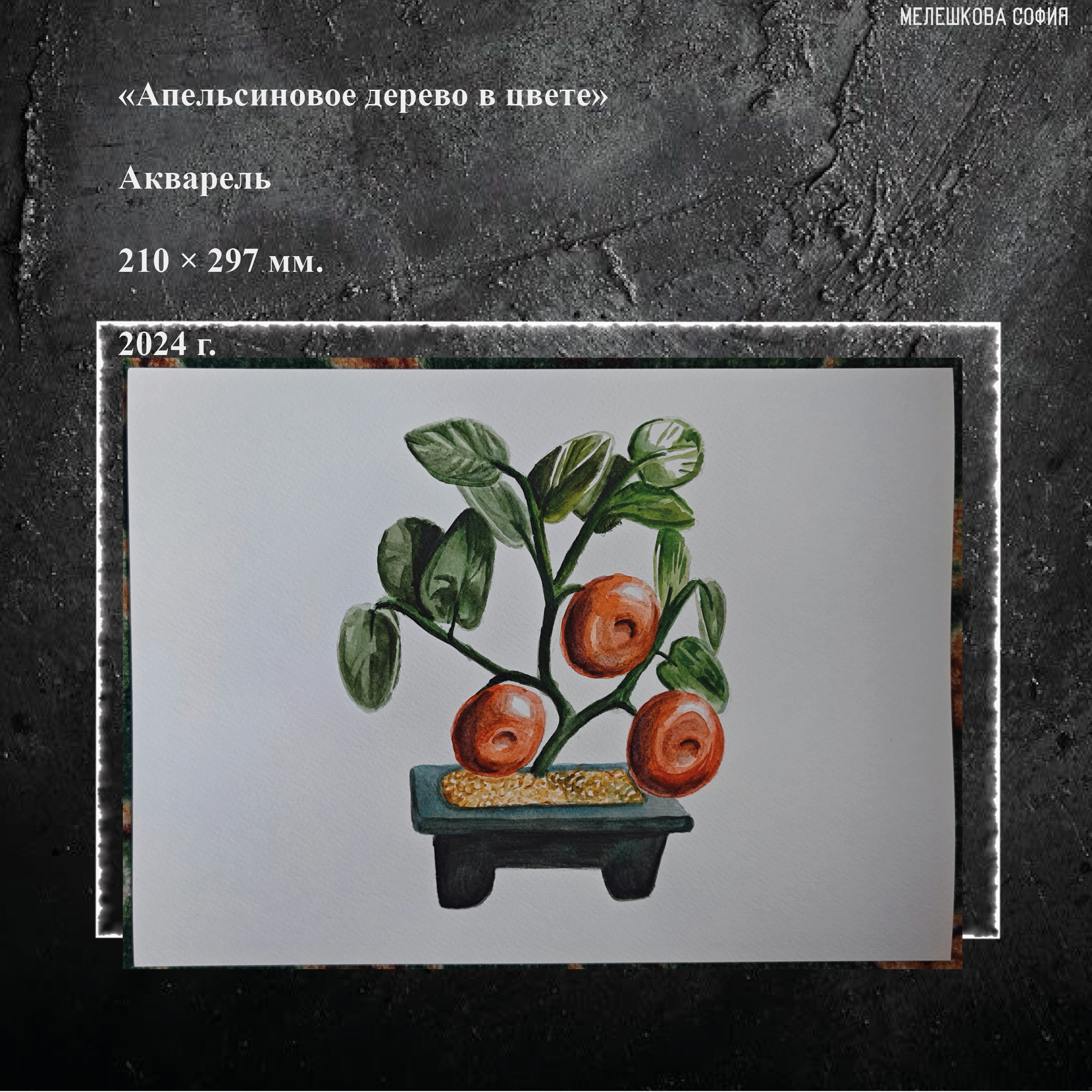 Портфолио — Изображение №22 — Иллюстрация, Графика на Dprofile