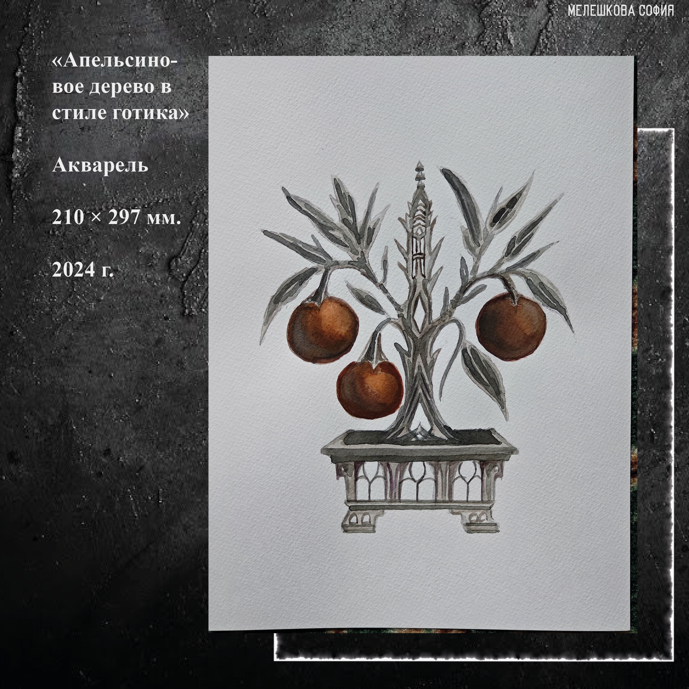 Портфолио — Изображение №26 — Иллюстрация, Графика на Dprofile