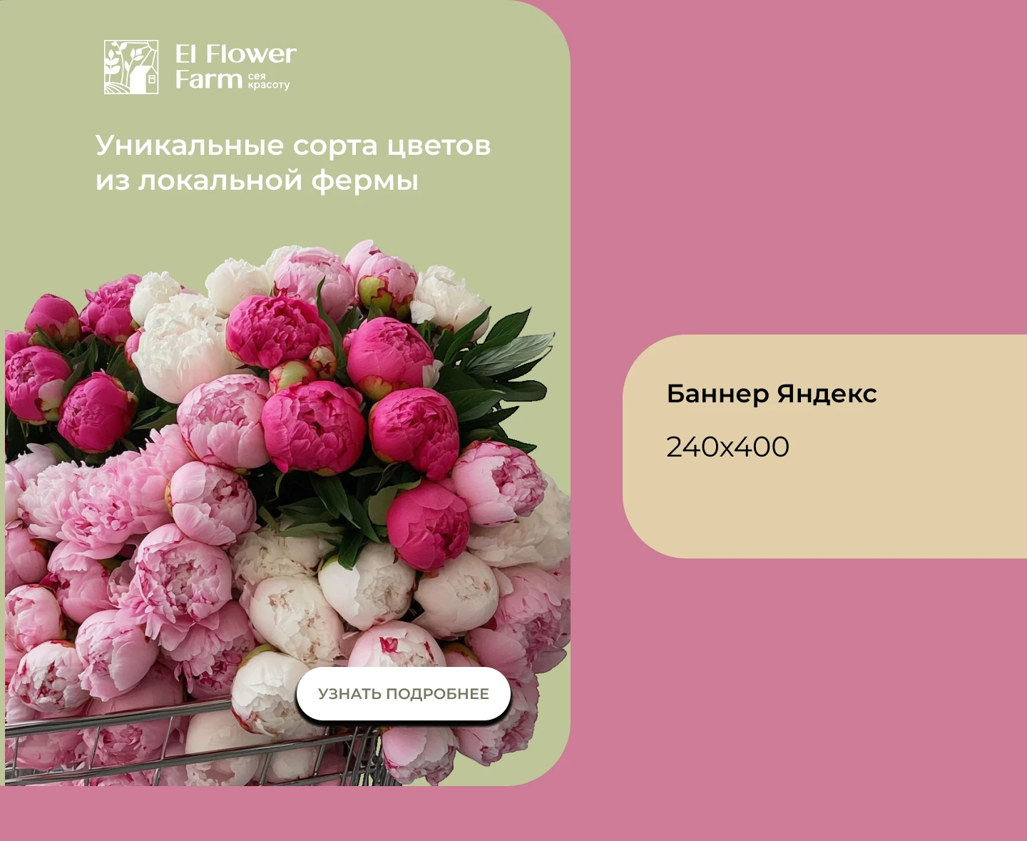 Презентация для Цветочной фермы El Flower Farm — Изображение №4 — Интерфейсы, Брендинг на Dprofile