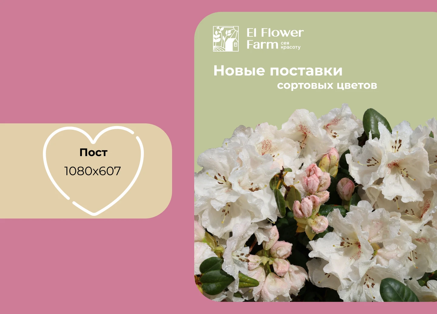 Презентация для Цветочной фермы El Flower Farm — Изображение №6 — Интерфейсы, Брендинг на Dprofile