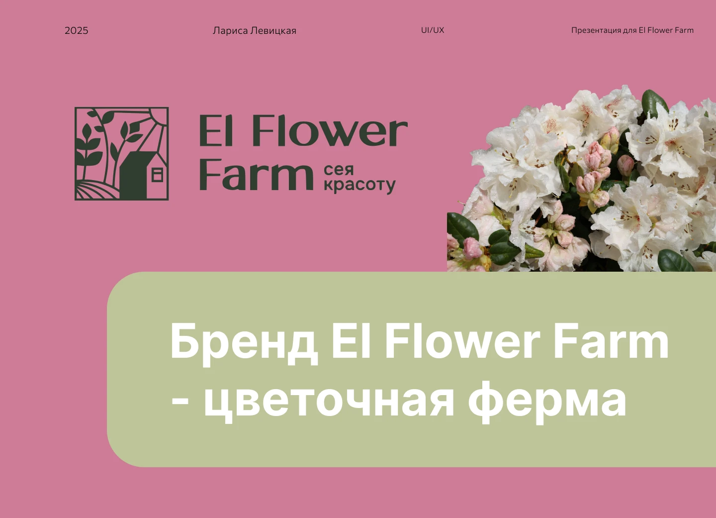 Презентация для Цветочной фермы El Flower Farm — Изображение №1 — Интерфейсы, Брендинг на Dprofile