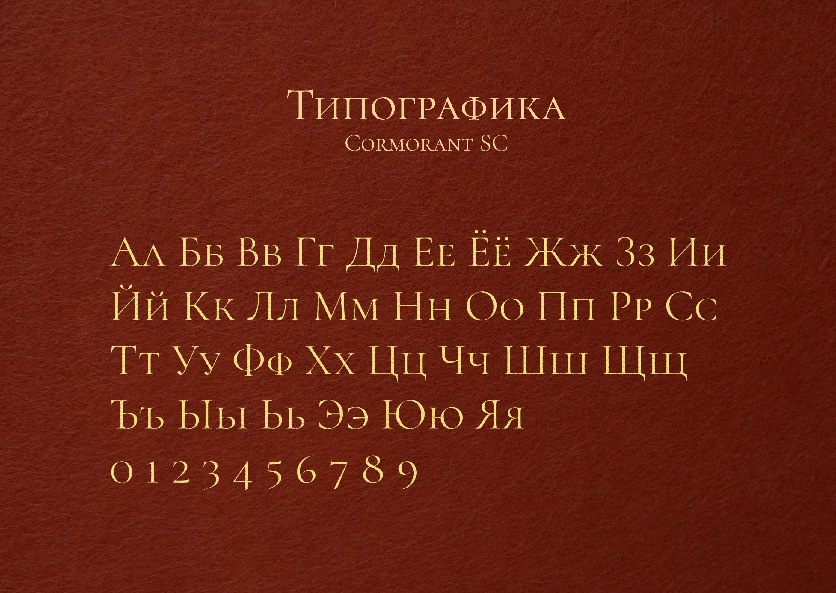 Фирменный стиль салона красоты "Пастель" — Изображение №5 — Брендинг на Dprofile