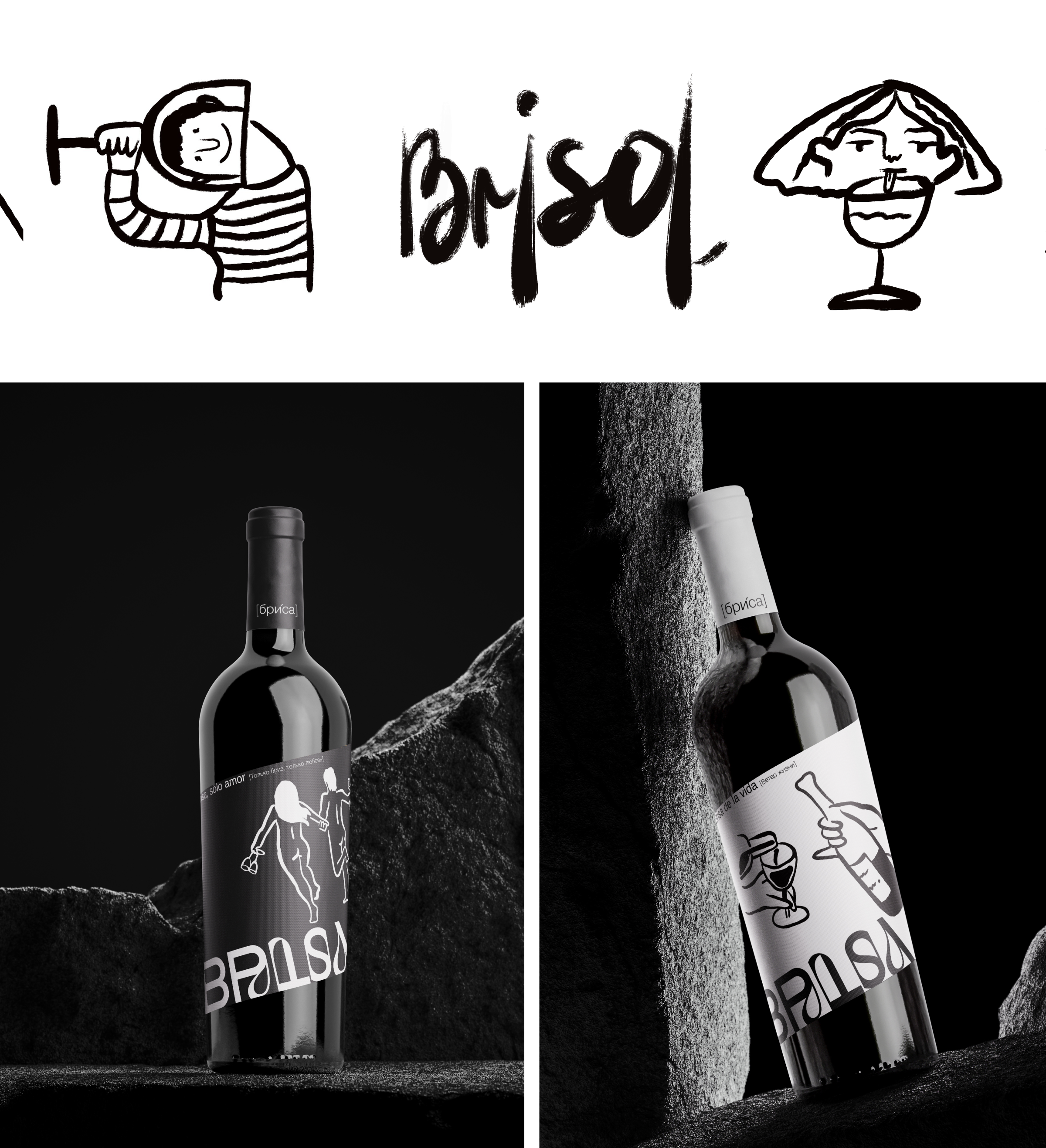 БРИСА | БРЕНДИНГ, ЛОГОТИП, УПАКОВКА — Изображение №3 — Брендинг на Dprofile