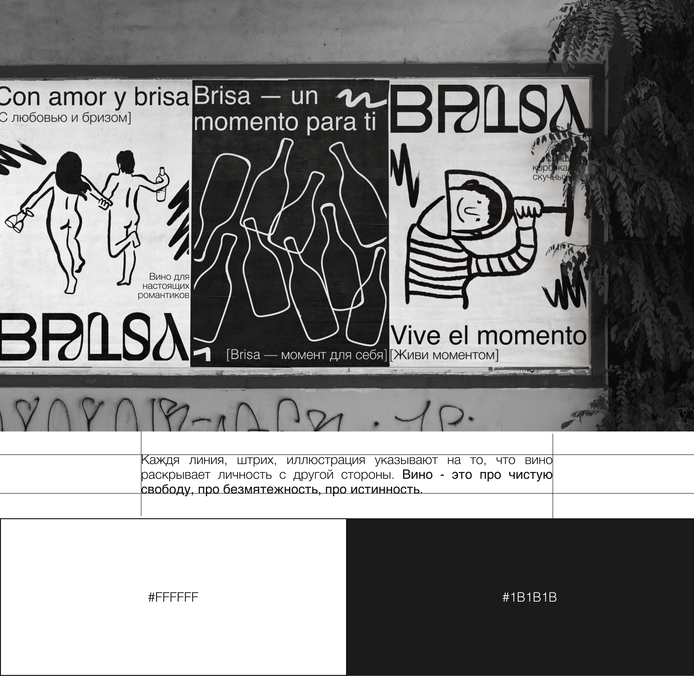 БРИСА | БРЕНДИНГ, ЛОГОТИП, УПАКОВКА — Изображение №2 — Брендинг на Dprofile