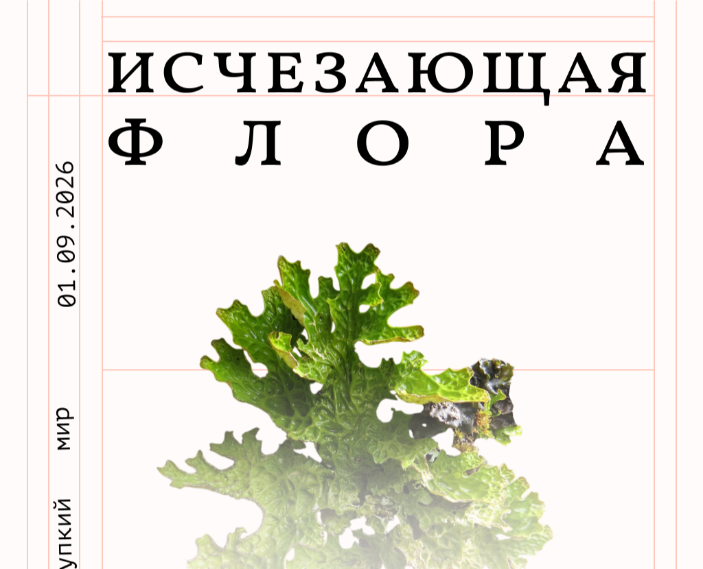 Концепт плаката для ботанической выставки «Исчезающая флора» — Графика на Dprofile