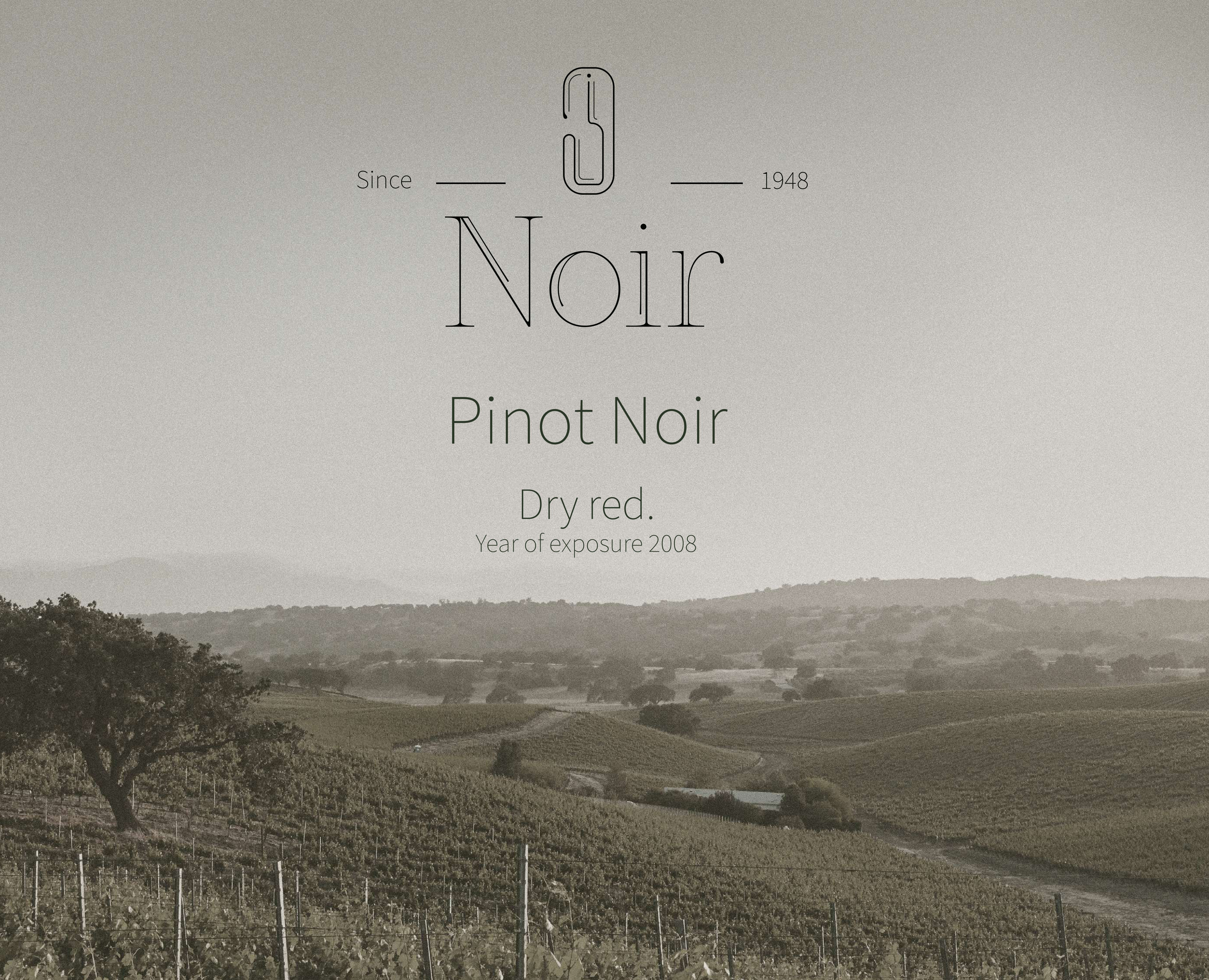 Фирменный стиль для бренда вина Нуар на Dprofile