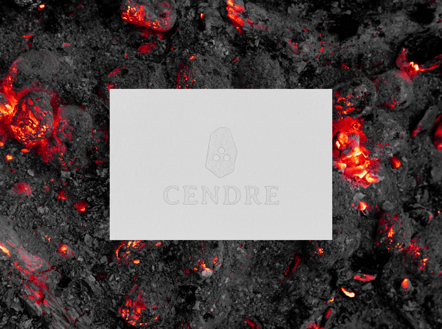 CENDRE - логотип и фирменный стиль для бренда натуральной косметики — Изображение №12 — Брендинг на Dprofile