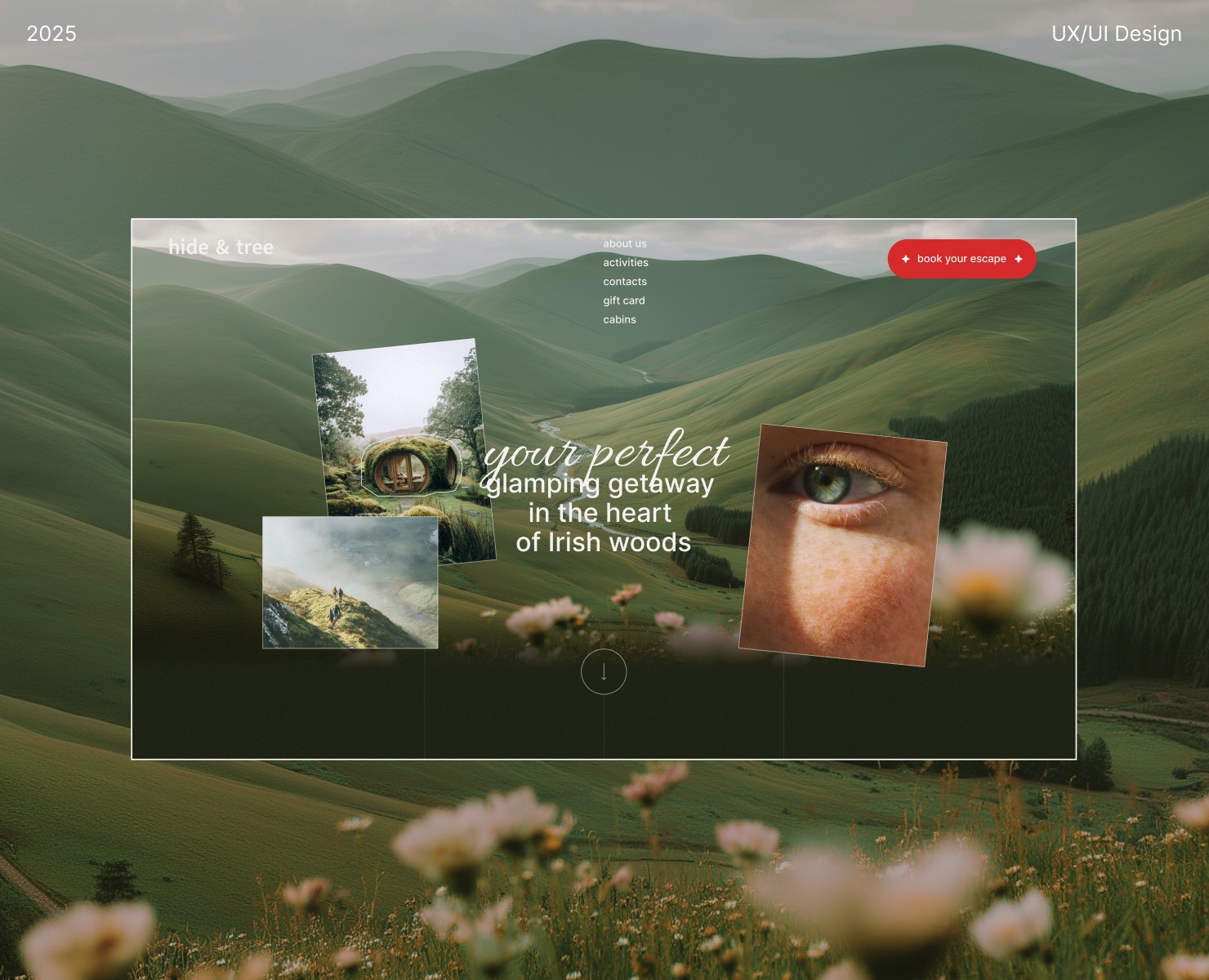Hide & Tree / Платформа бронирования — Интерфейсы на Dprofile