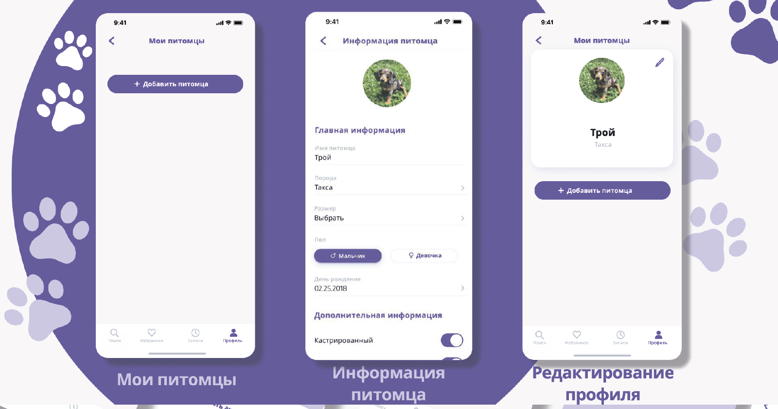 PawMate — Изображение №13 — Интерфейсы, Брендинг на Dprofile