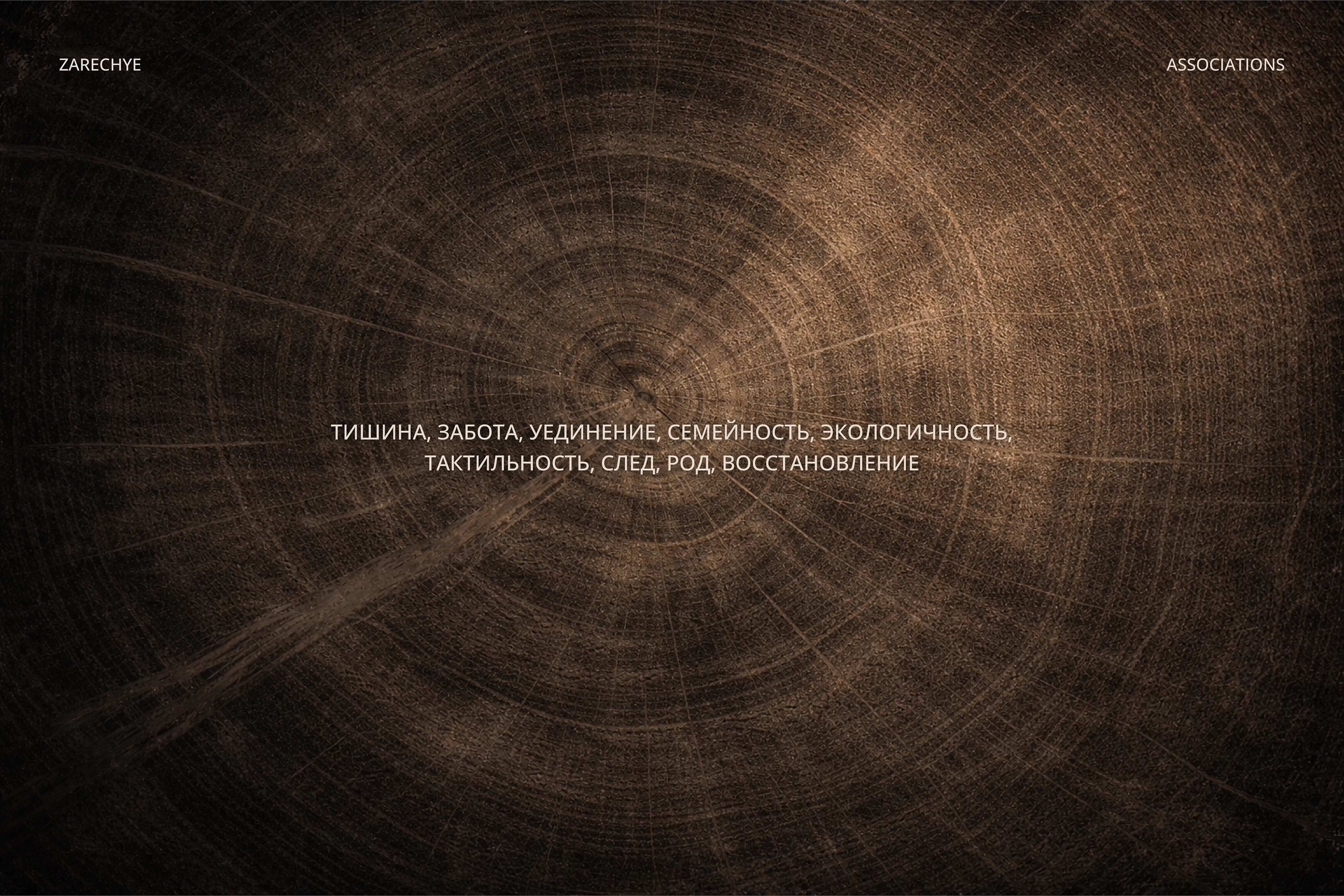 Zarechye Park Hotel — Brand Identity & Rebranding — Изображение №3 — Брендинг на Dprofile