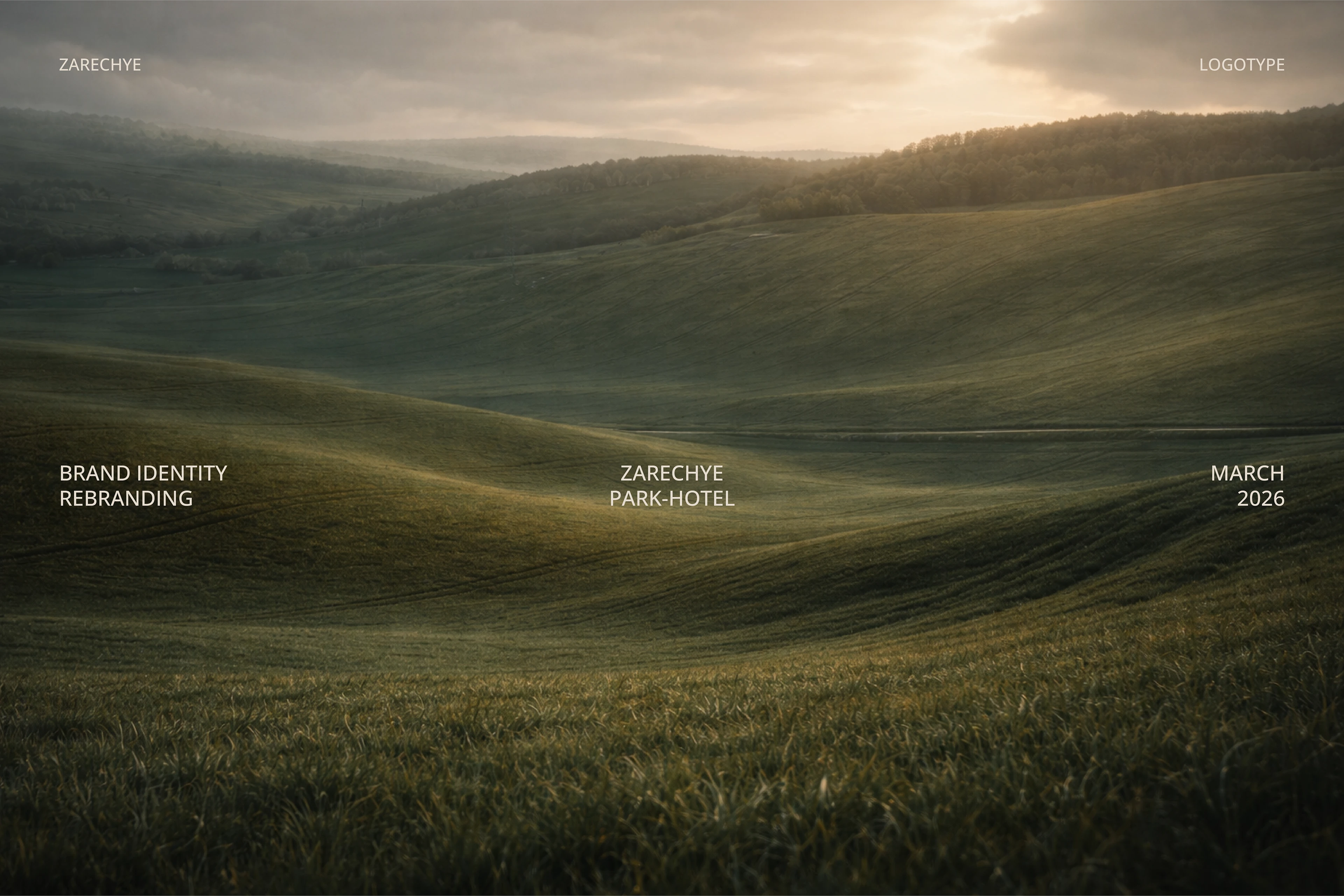 Zarechye Park Hotel — Brand Identity & Rebranding — Изображение №1 — Брендинг на Dprofile