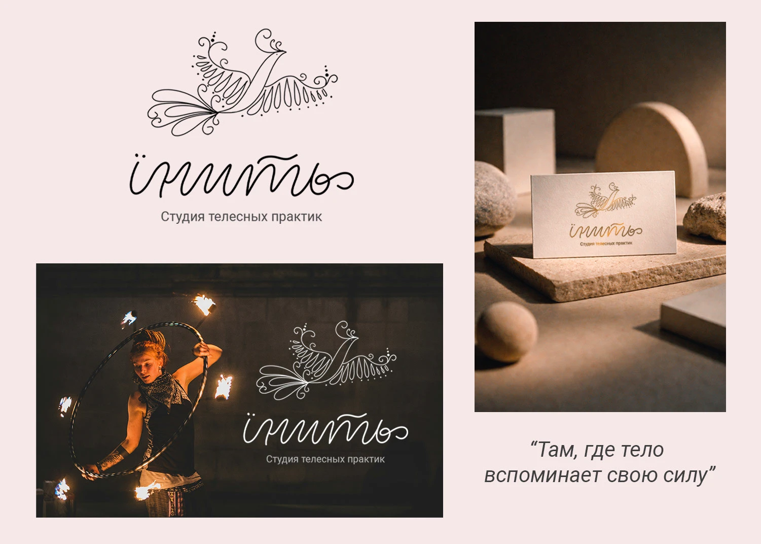 Логофолио 2025-2026 — Изображение №2 — Брендинг, Графика на Dprofile