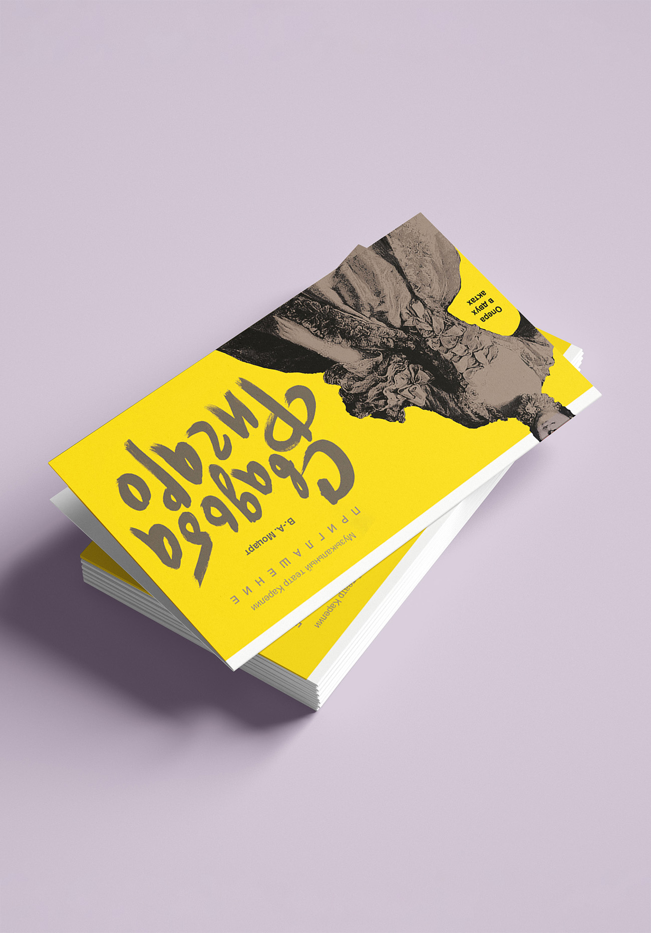 Айдентика оперы «Свадьба Фигаро» — Изображение №7 — Брендинг, Графика на Dprofile
