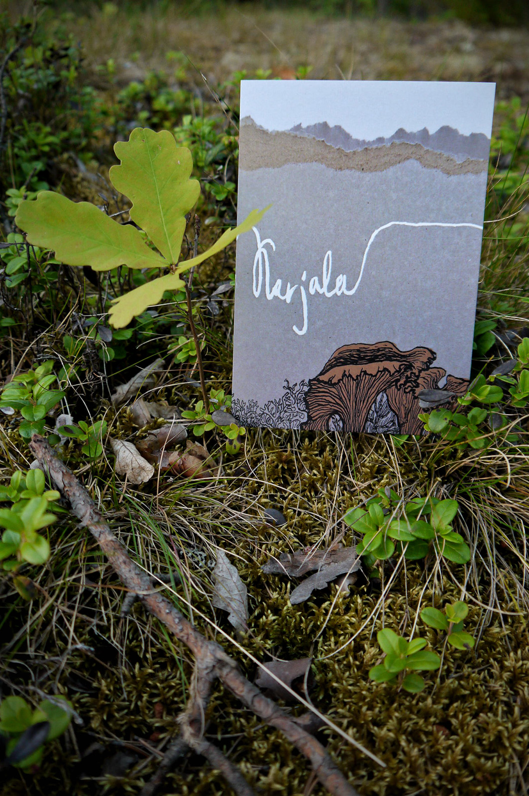 Karjala — Изображение №3 — Иллюстрация, Графика на Dprofile