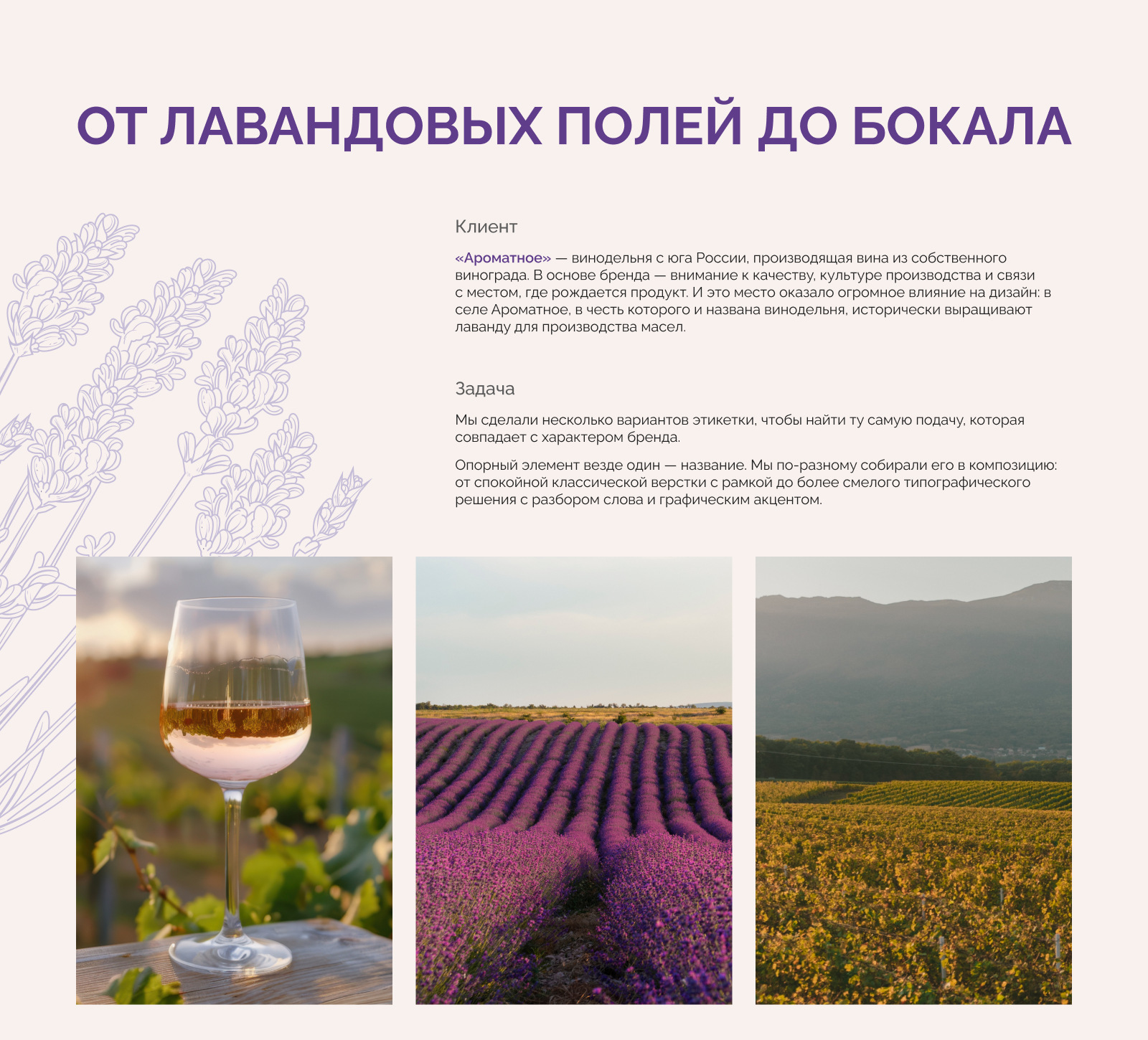 Этикетки для винодельни Ароматное — Изображение №2 — Брендинг на Dprofile