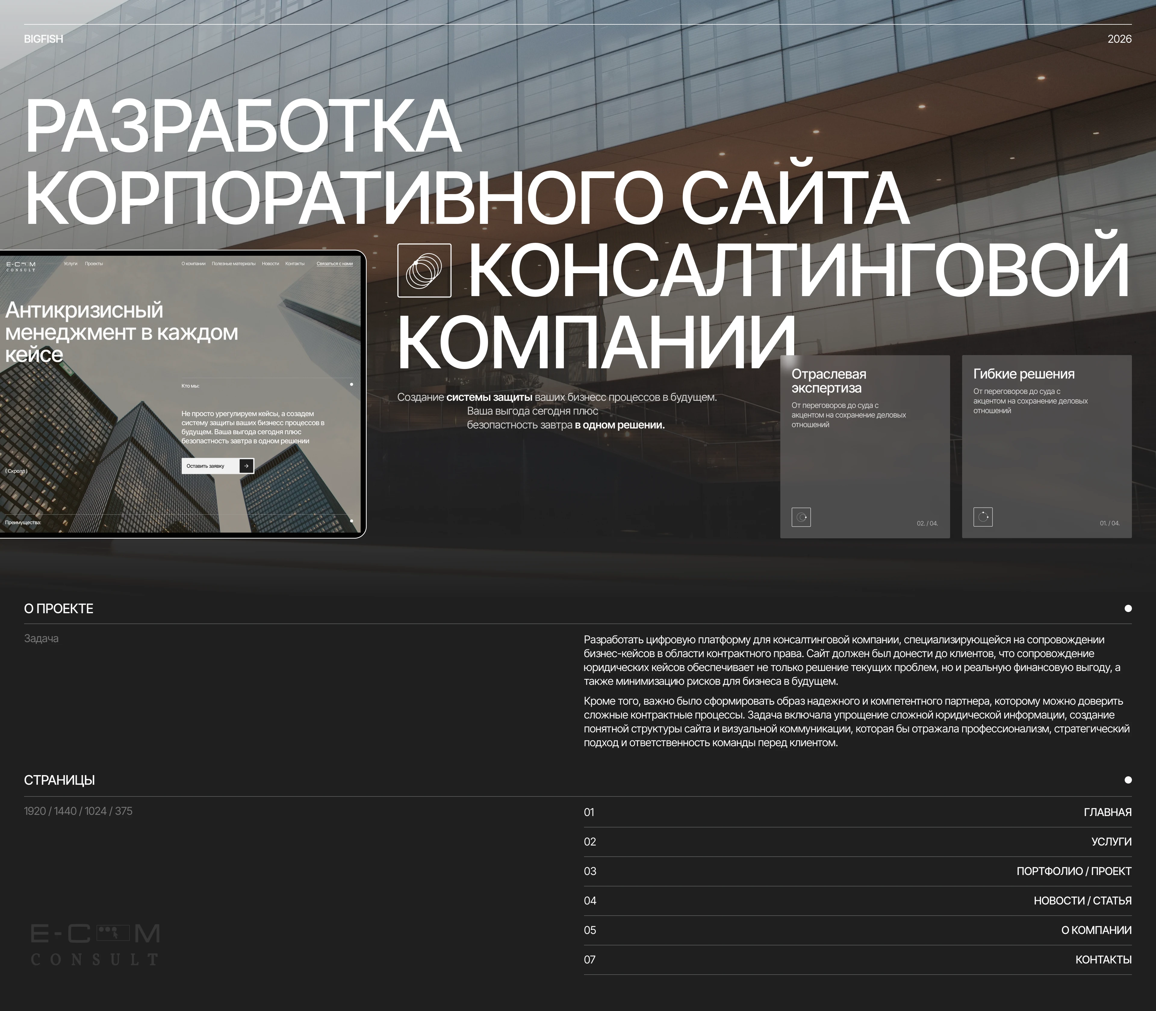 E-consult | Корпоративный сайт — Изображение №1 — Интерфейсы на Dprofile