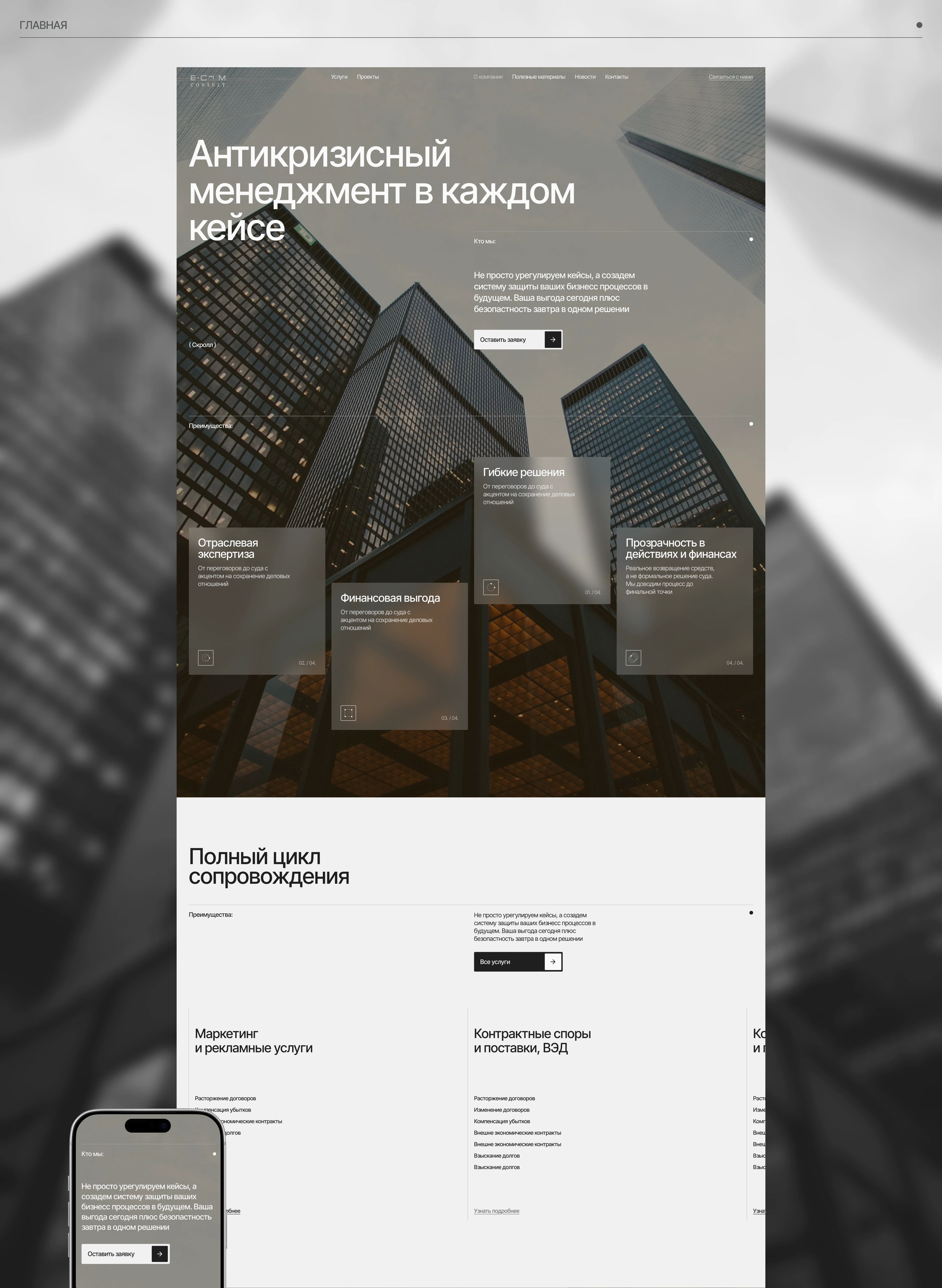 E-consult | Корпоративный сайт — Изображение №2 — Интерфейсы на Dprofile