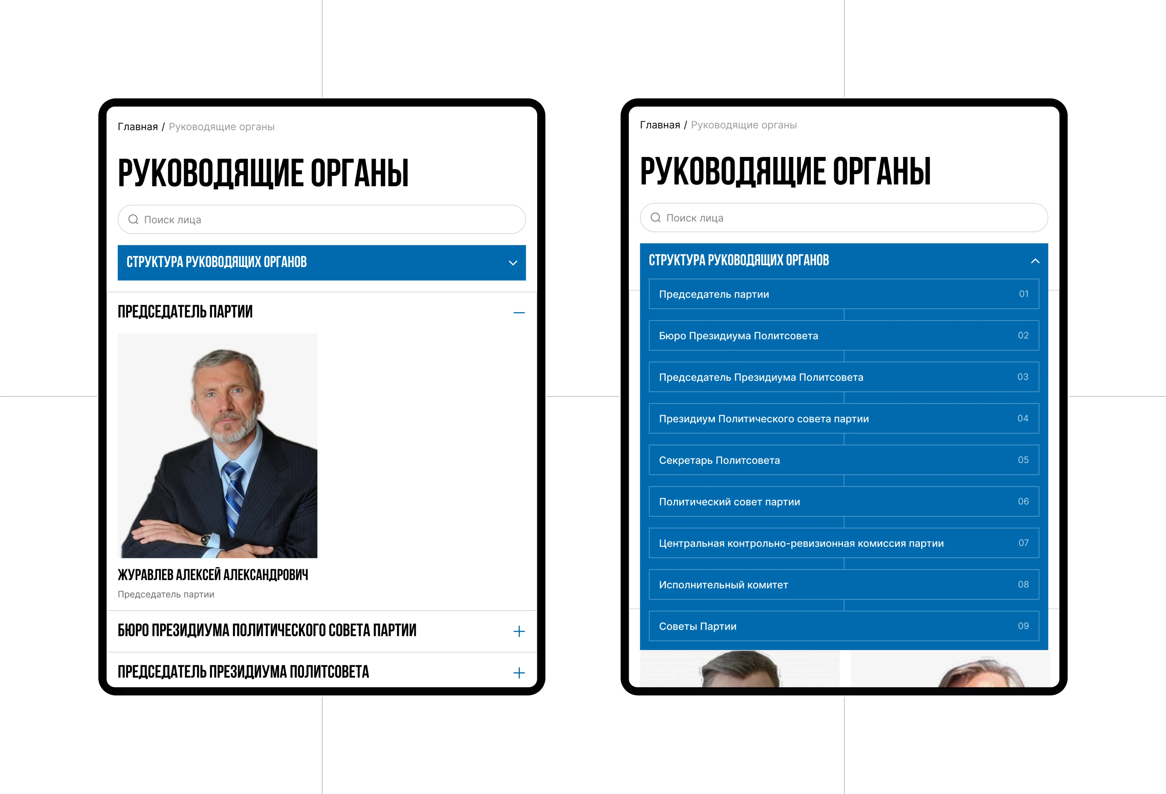 Партия Родина — Изображение №14 — Интерфейсы, Анимация на Dprofile