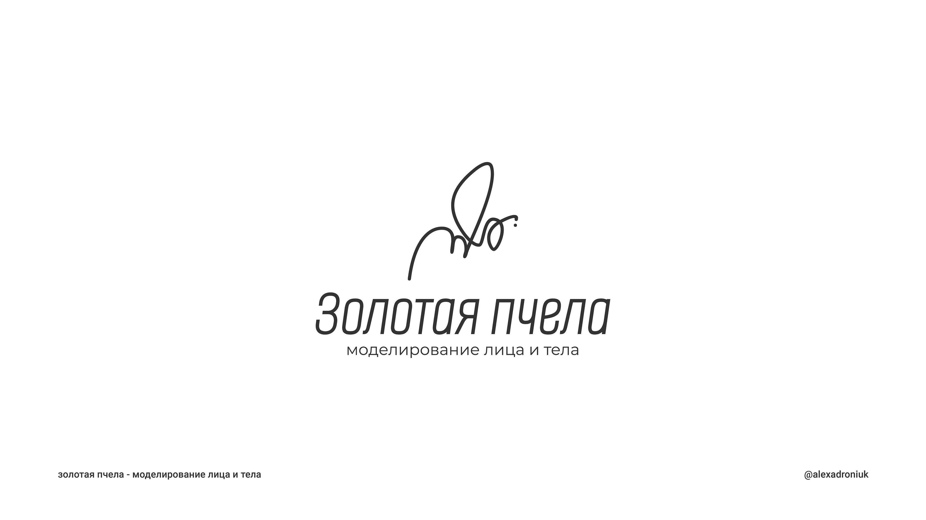 Логофолио - портфолио — Изображение №5 — Брендинг на Dprofile