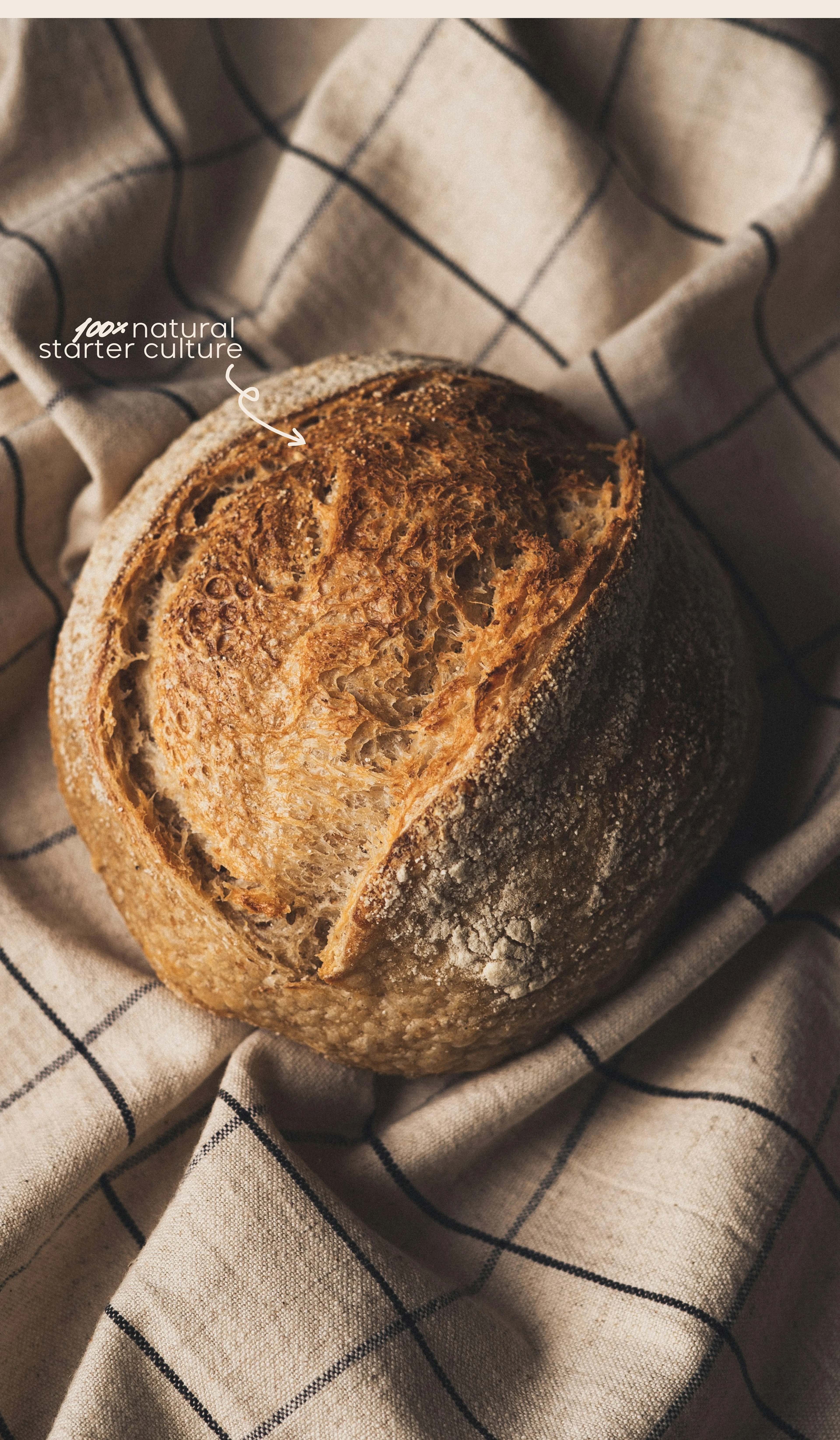 Пекарня / Bakery / Brand identity — Изображение №4 — Брендинг, Графика на Dprofile